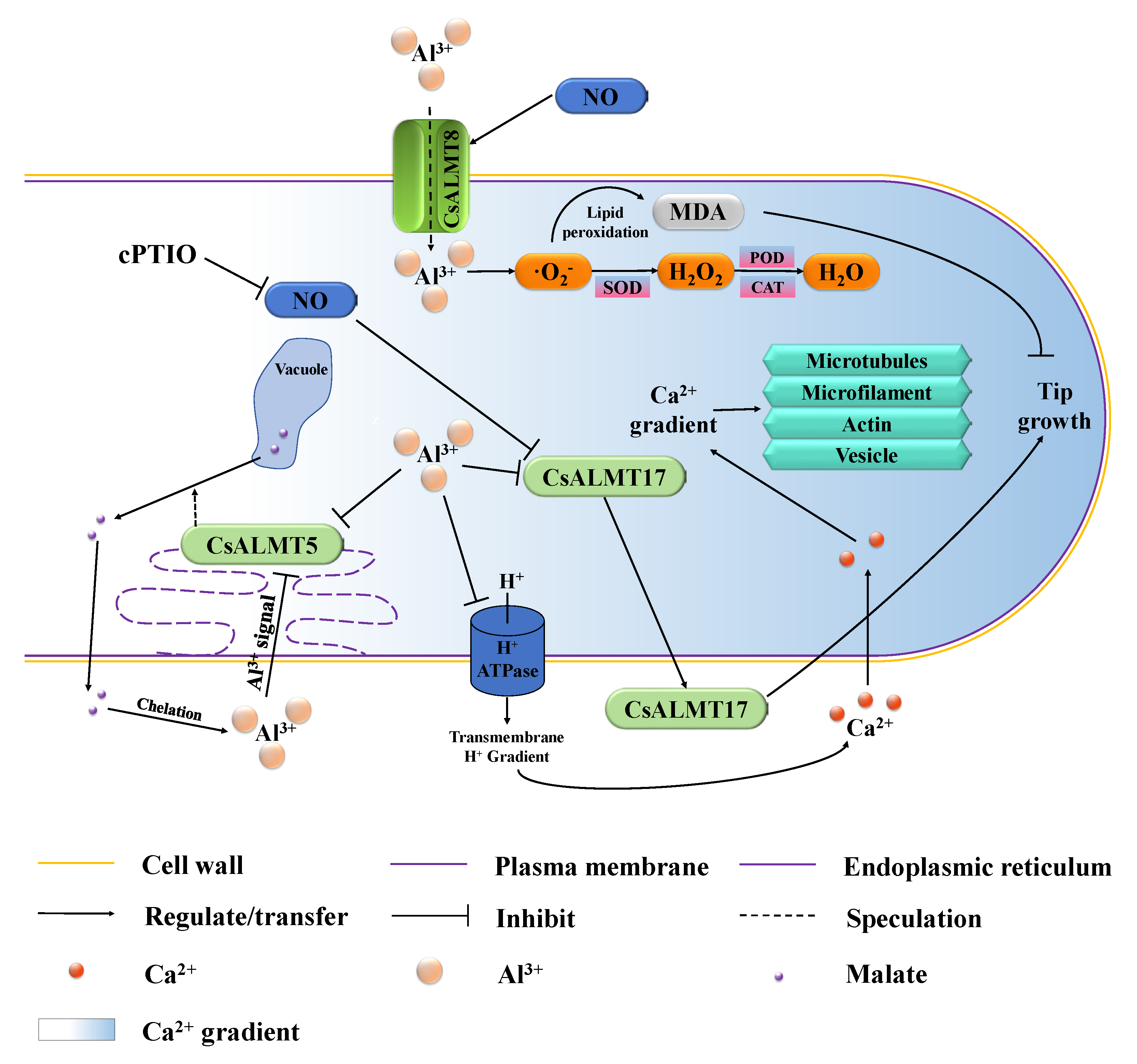 Plants 11 02233 g006