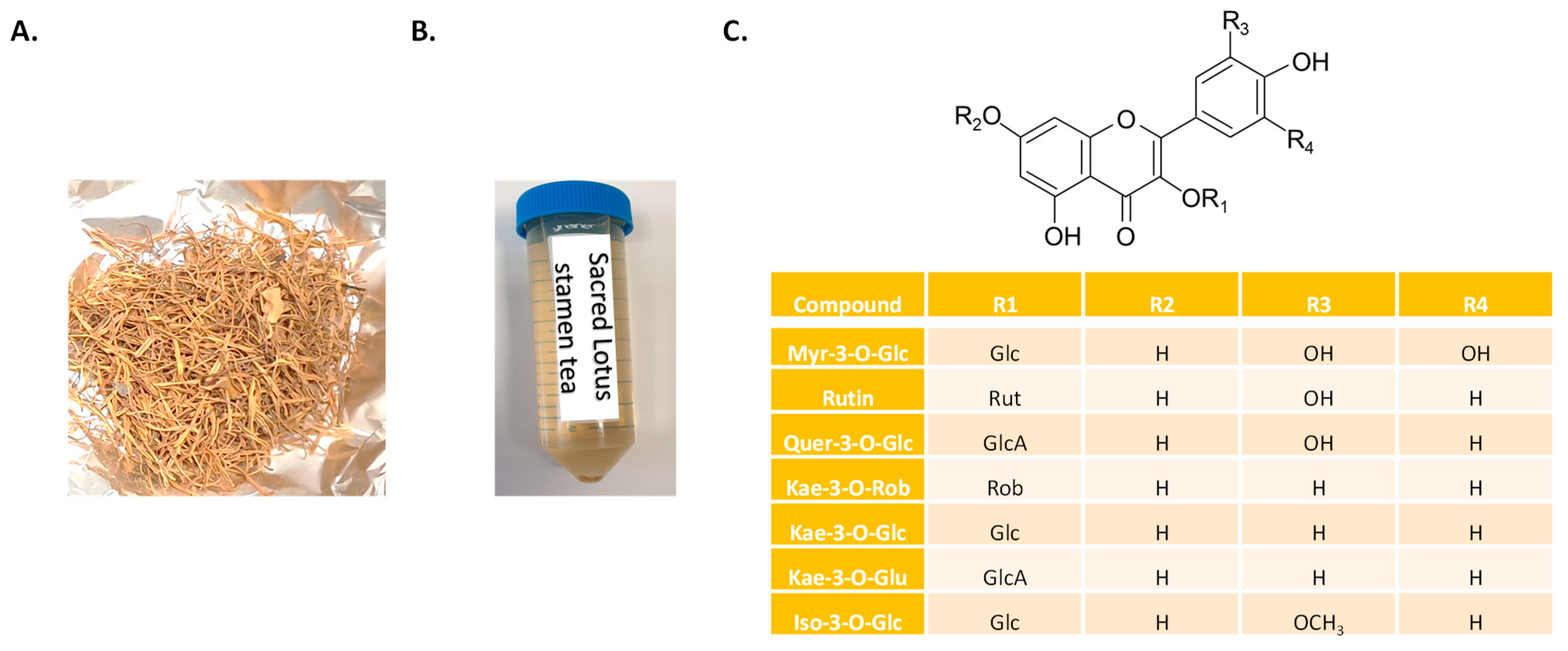 Plants 11 02234 g001