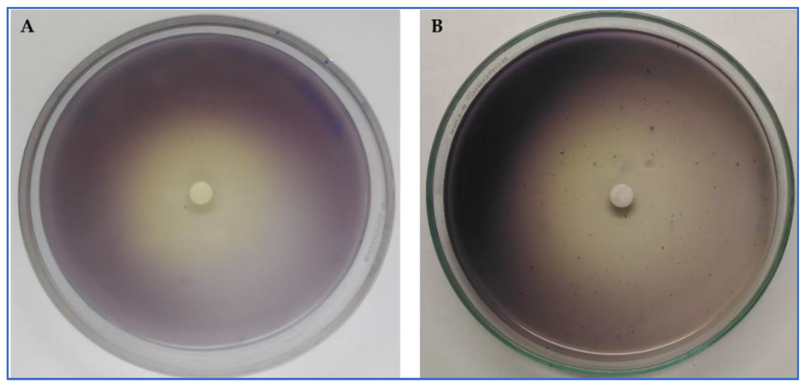 Plants 11 02236 g002 Plants 11 02236 g002