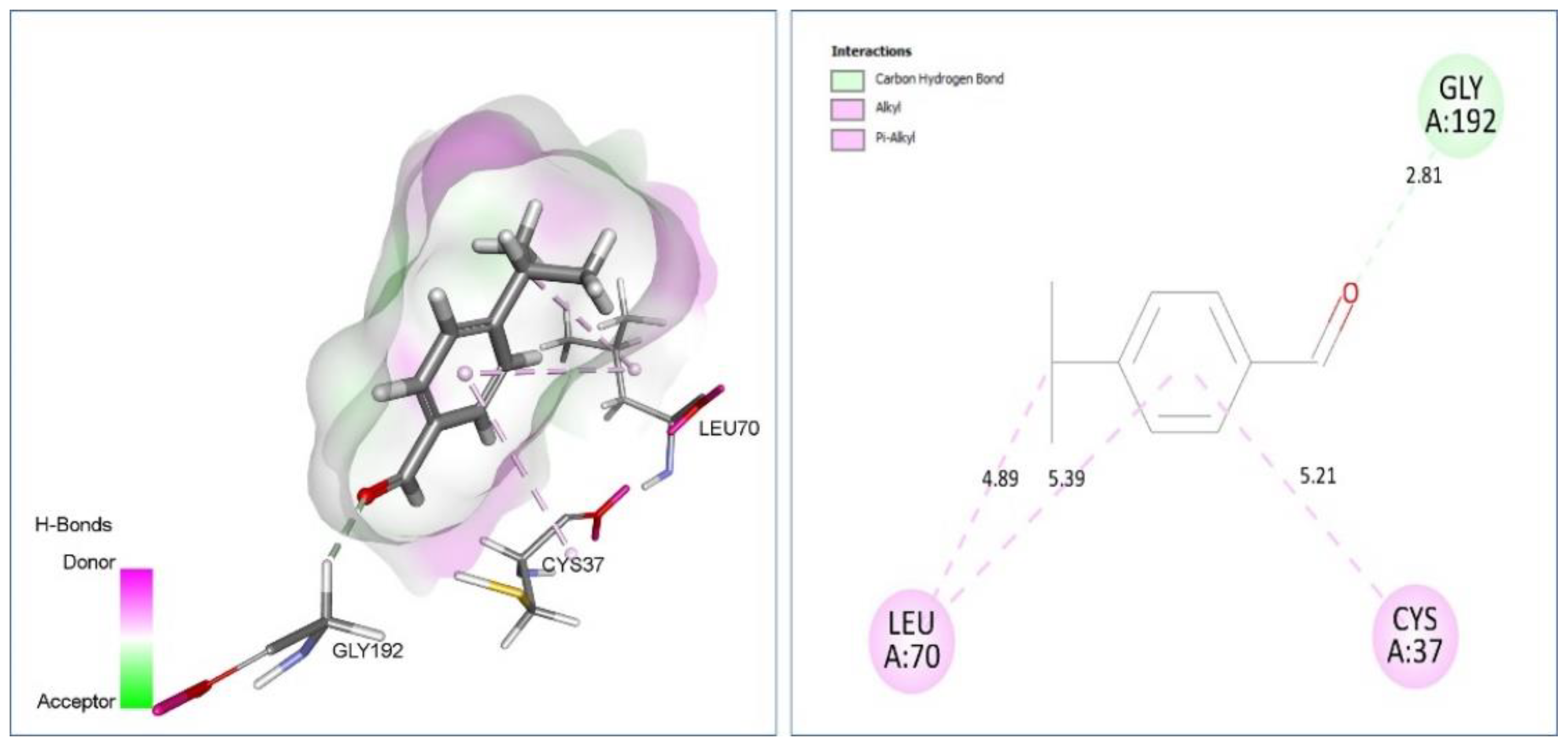 Plants 11 02236 g004 Plants 11 02236 g004