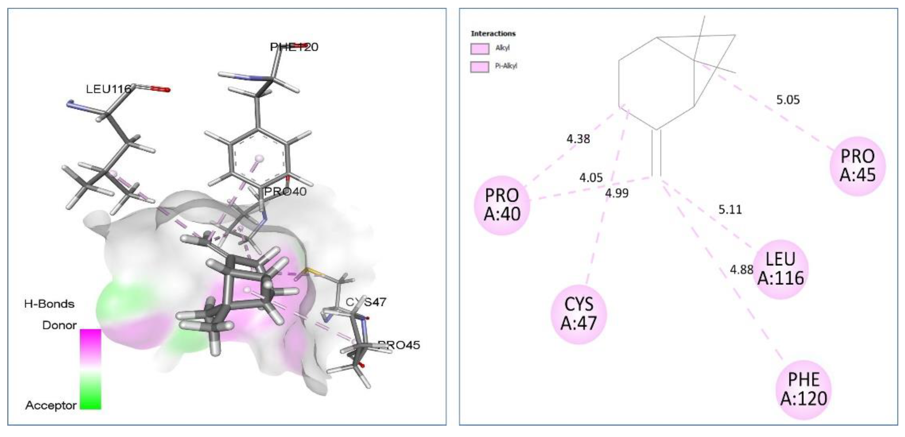 Plants 11 02236 g005 Plants 11 02236 g005