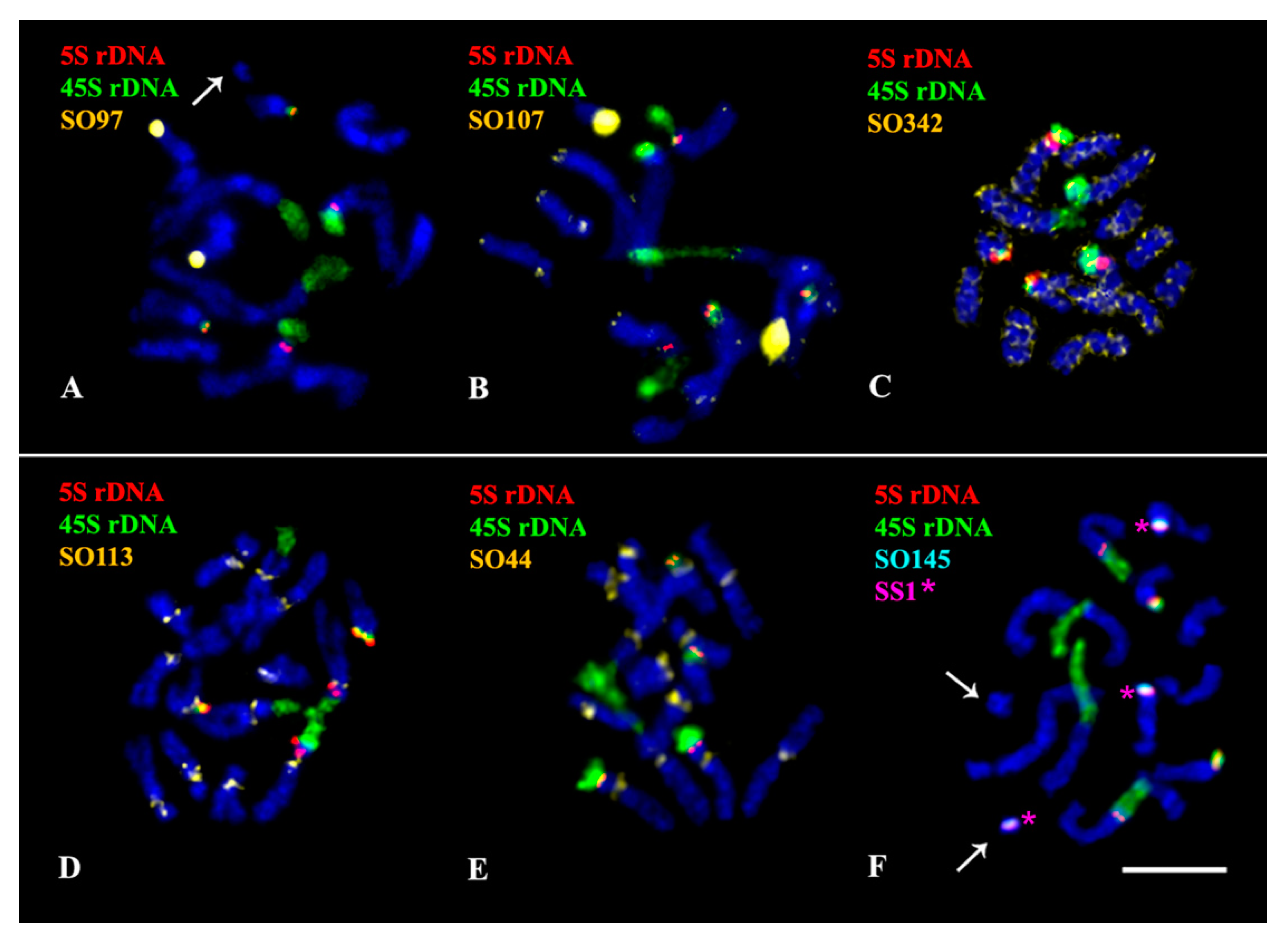 Plants 11 02244 g002