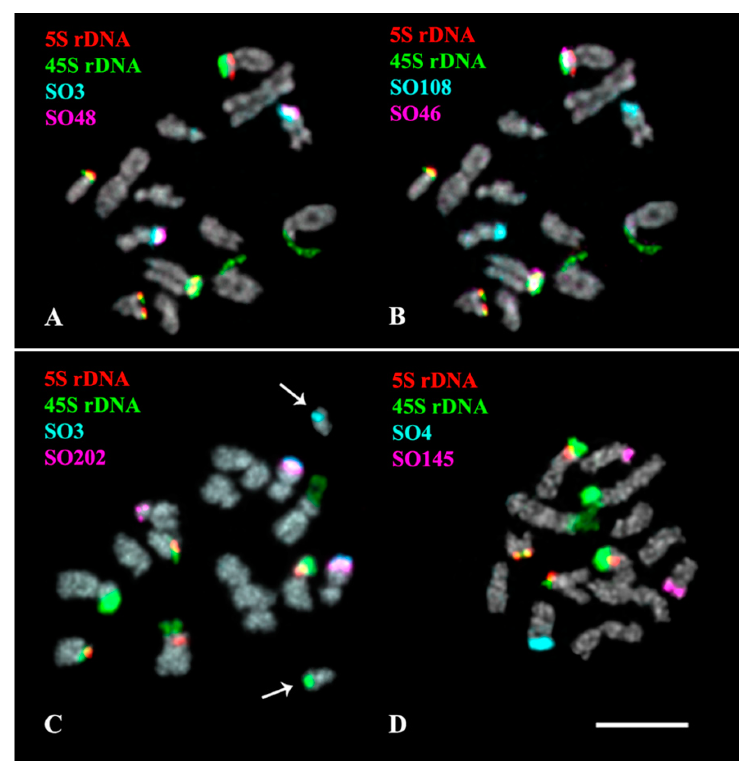 Plants 11 02244 g003