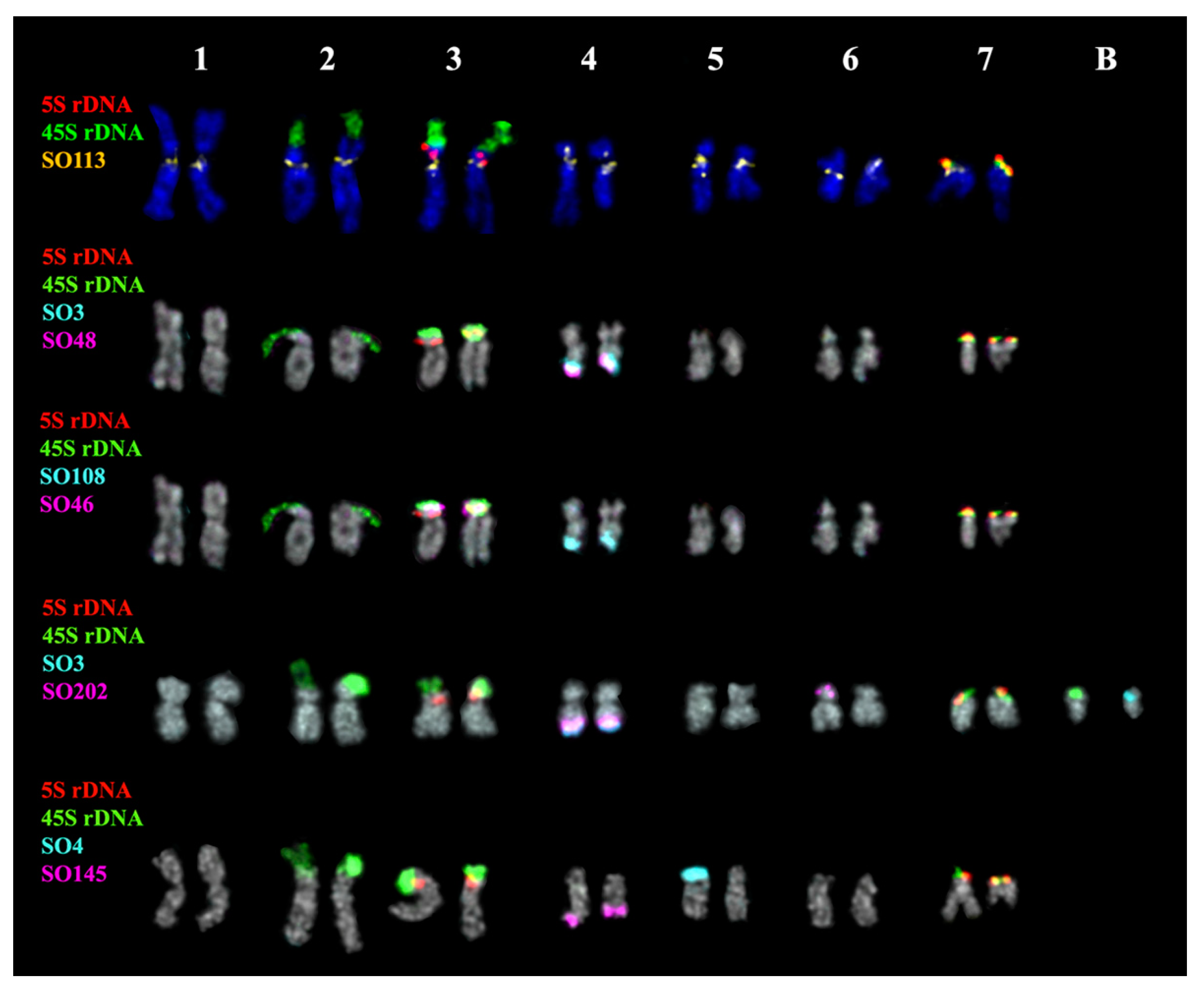 Plants 11 02244 g004