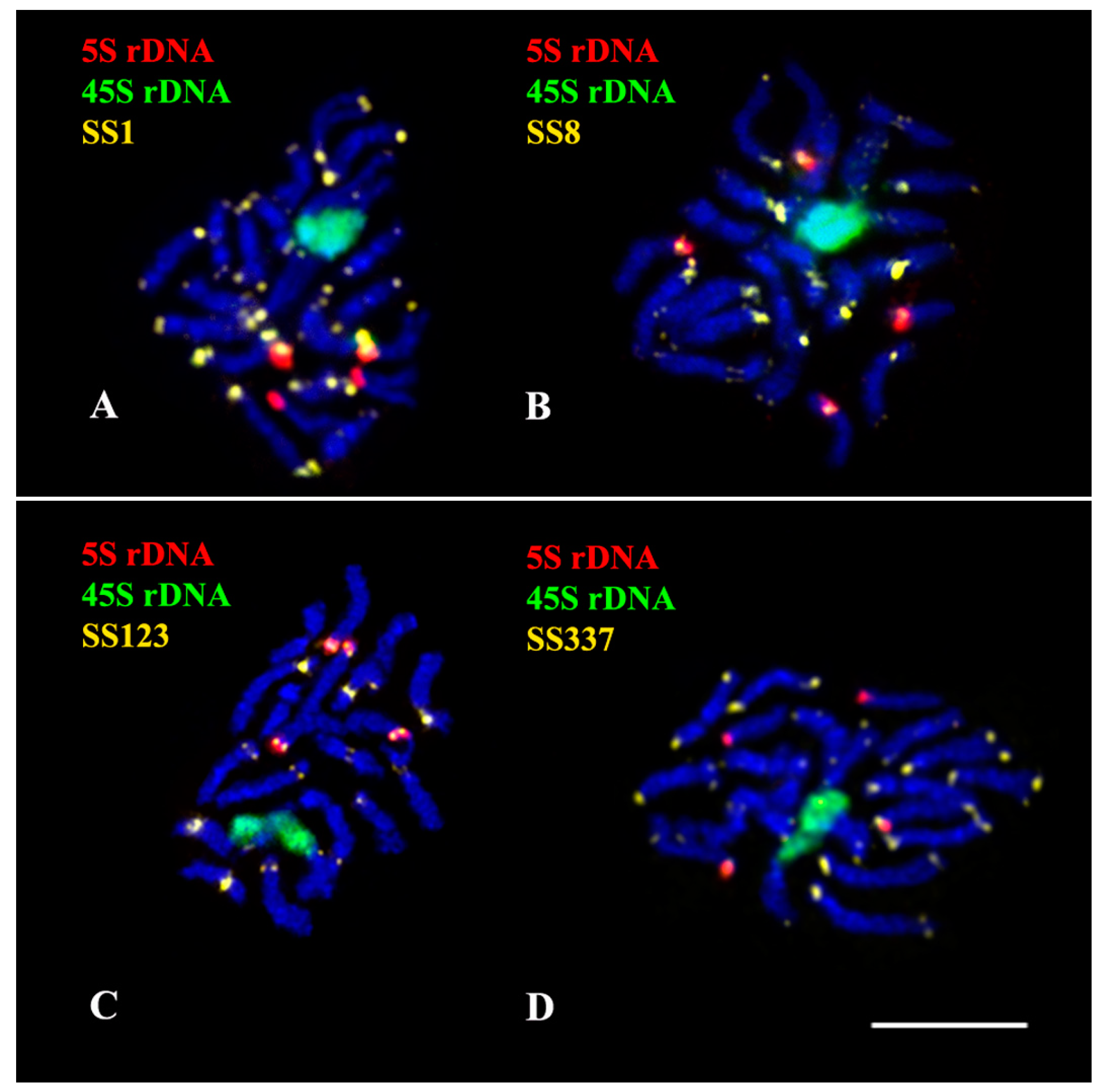 Plants 11 02244 g005