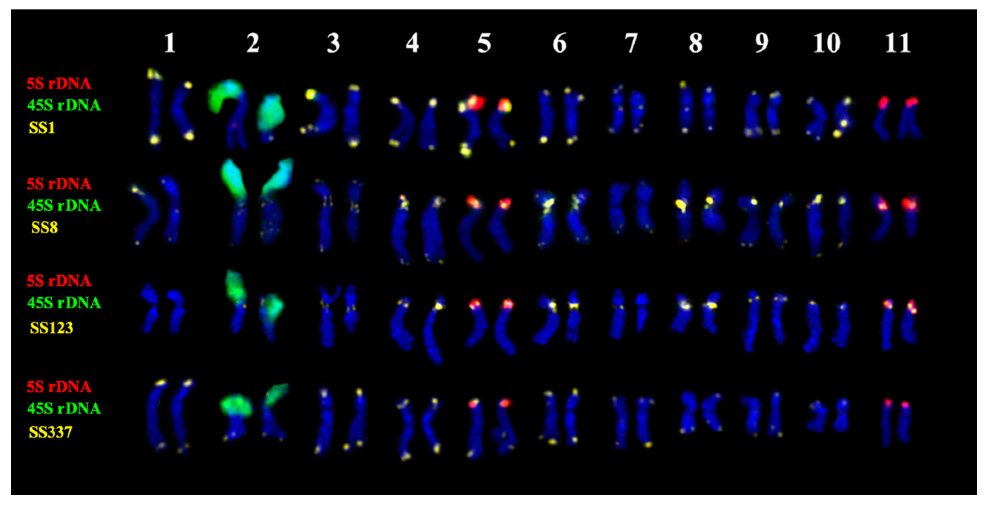 Plants 11 02244 g006