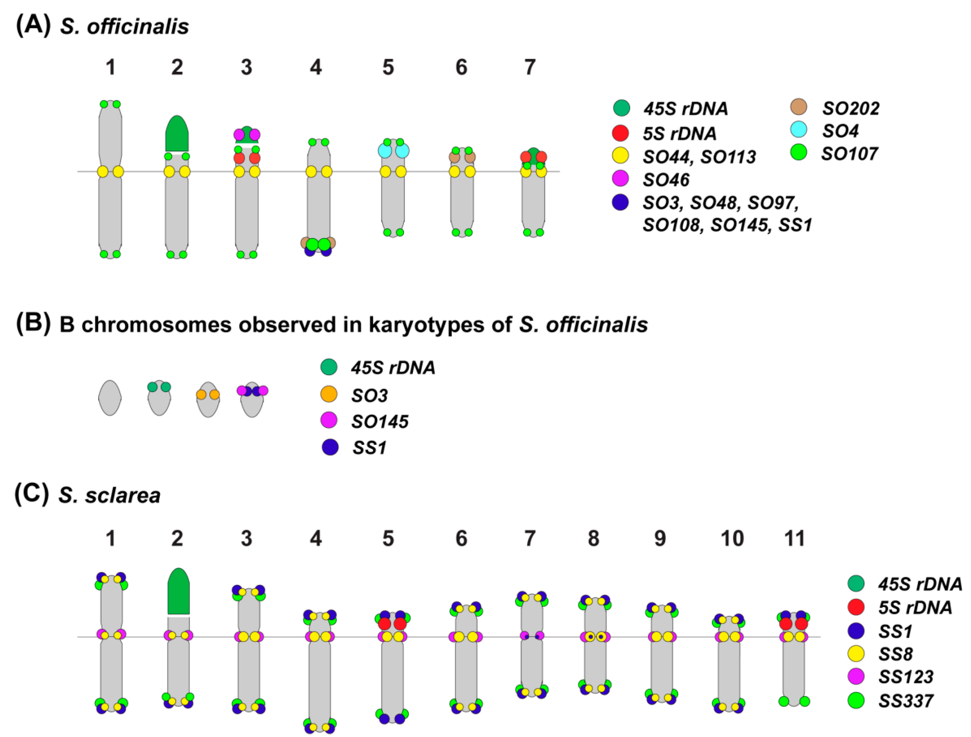 Plants 11 02244 g007