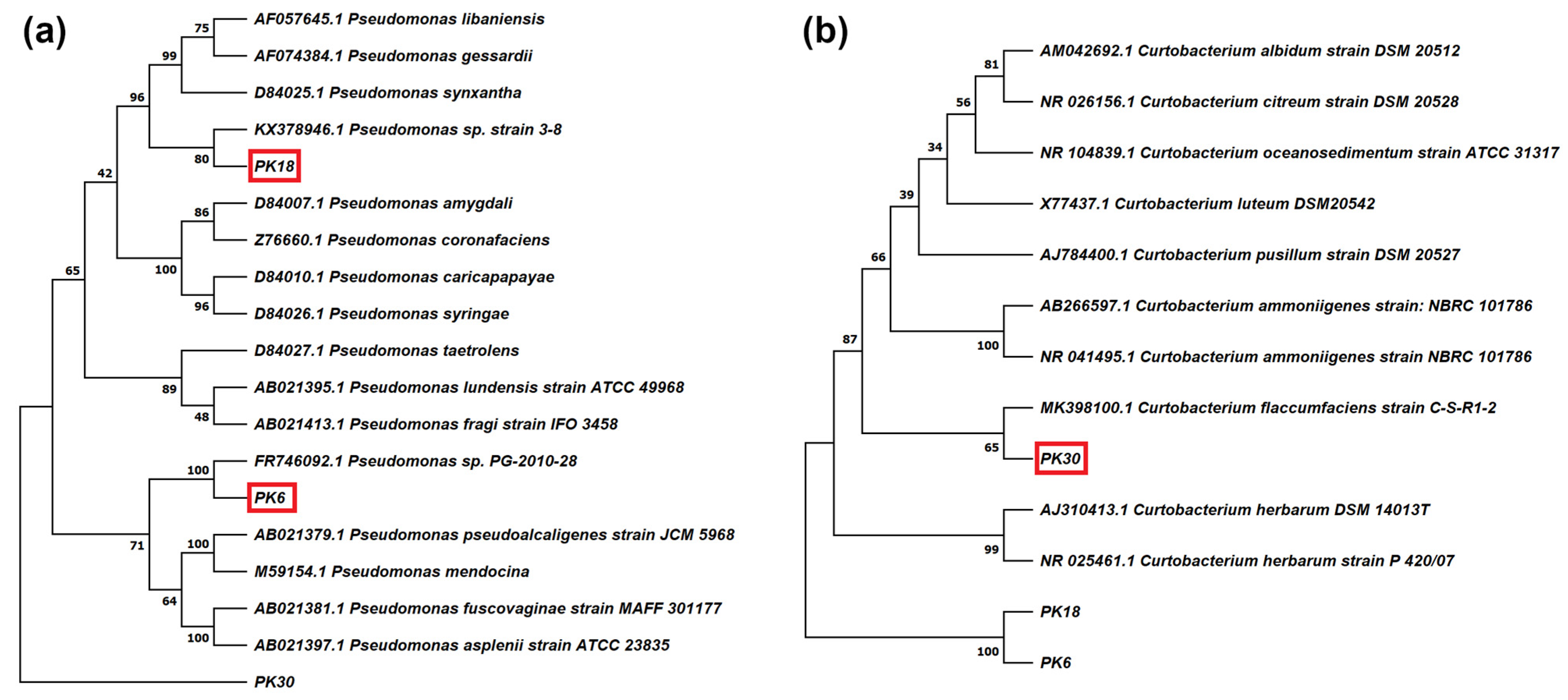 Plants 11 02245 g001