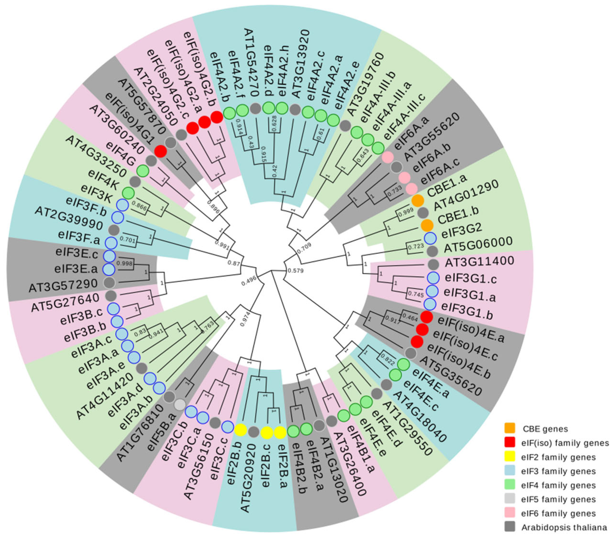 Plants 11 02248 g001 Plants 11 02248 g001