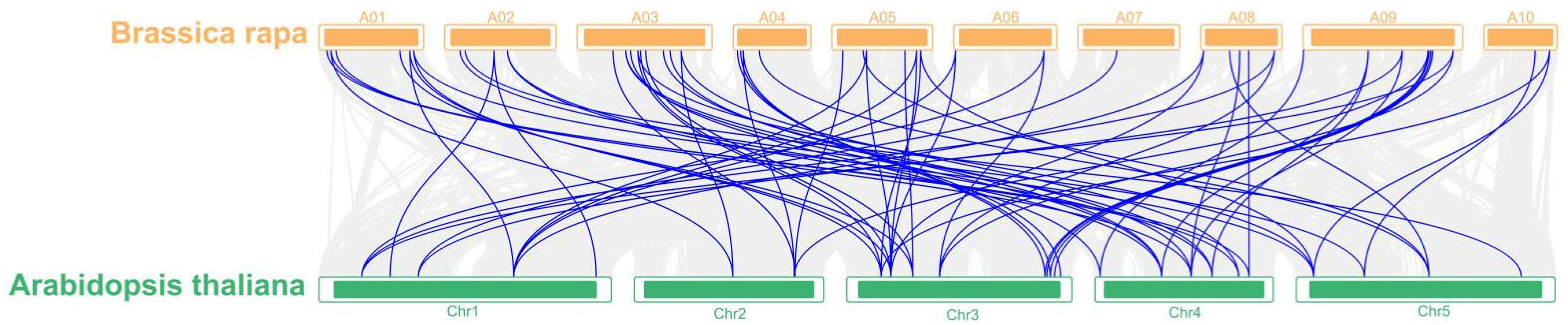 Plants 11 02248 g003 Plants 11 02248 g003
