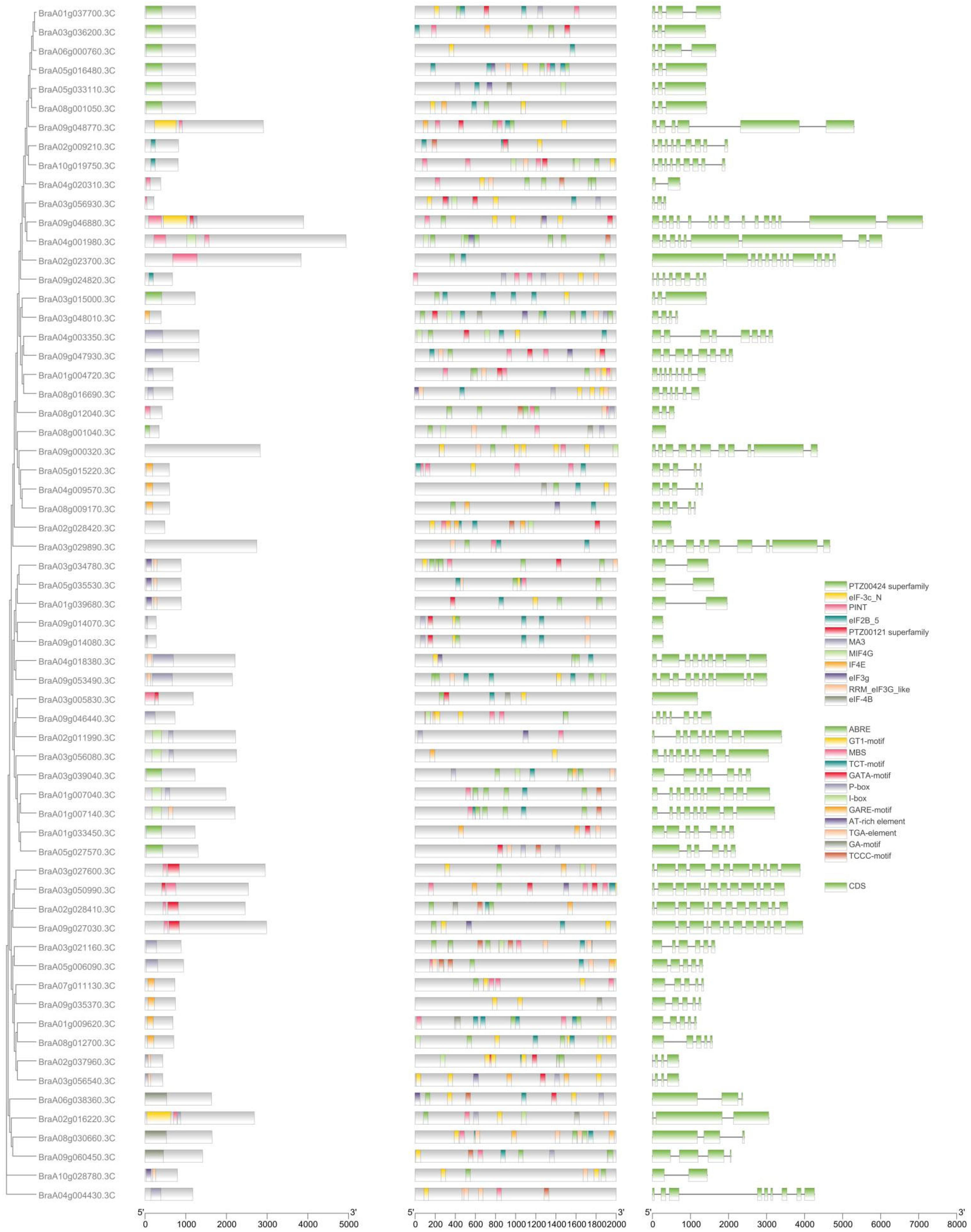 Plants 11 02248 g004 Plants 11 02248 g004