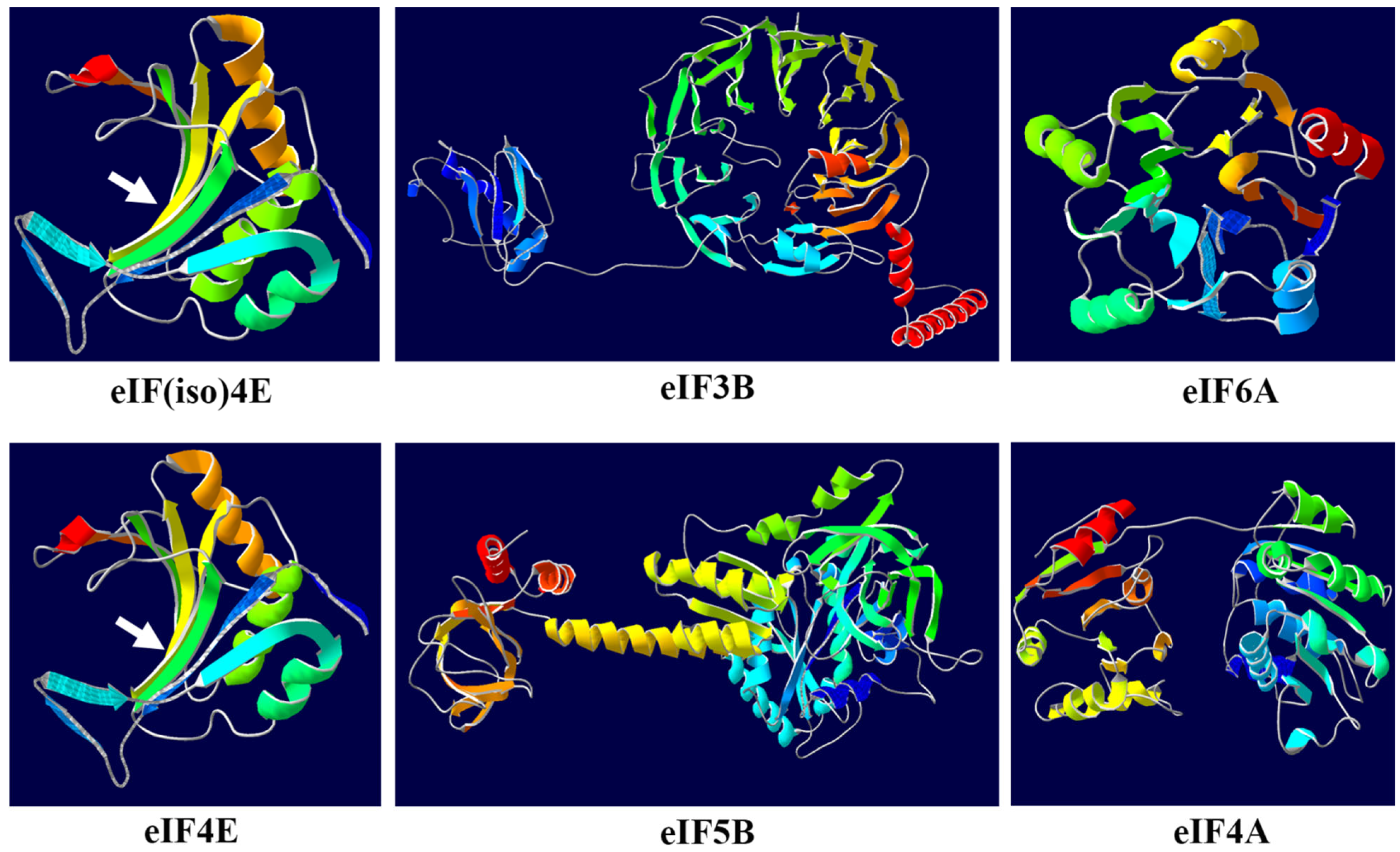 Plants 11 02248 g005 Plants 11 02248 g005