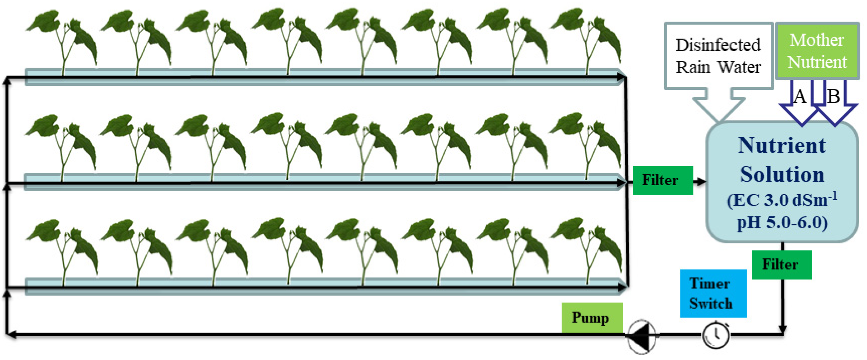 Plants 11 02252 g010