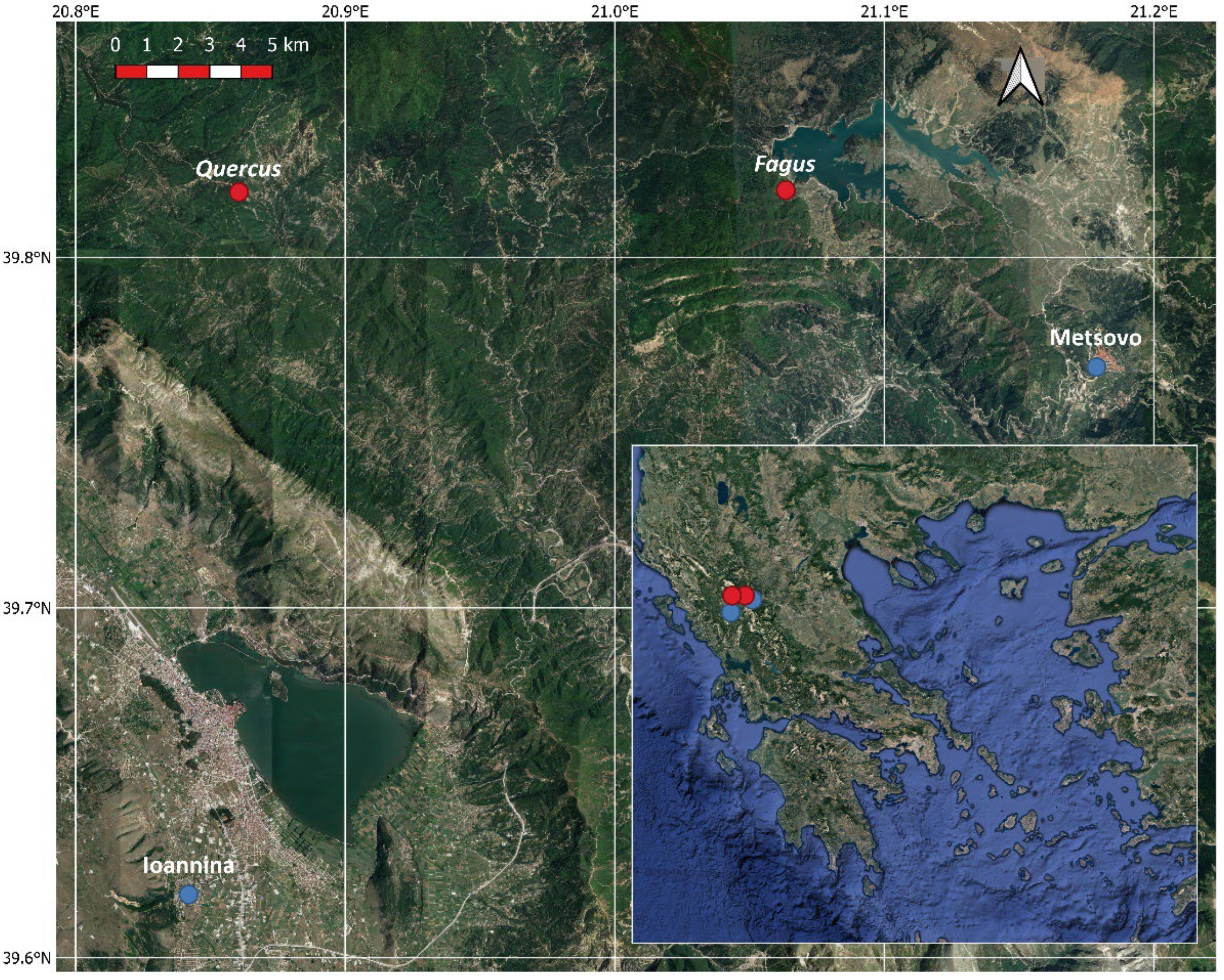 Plants 11 02257 g001