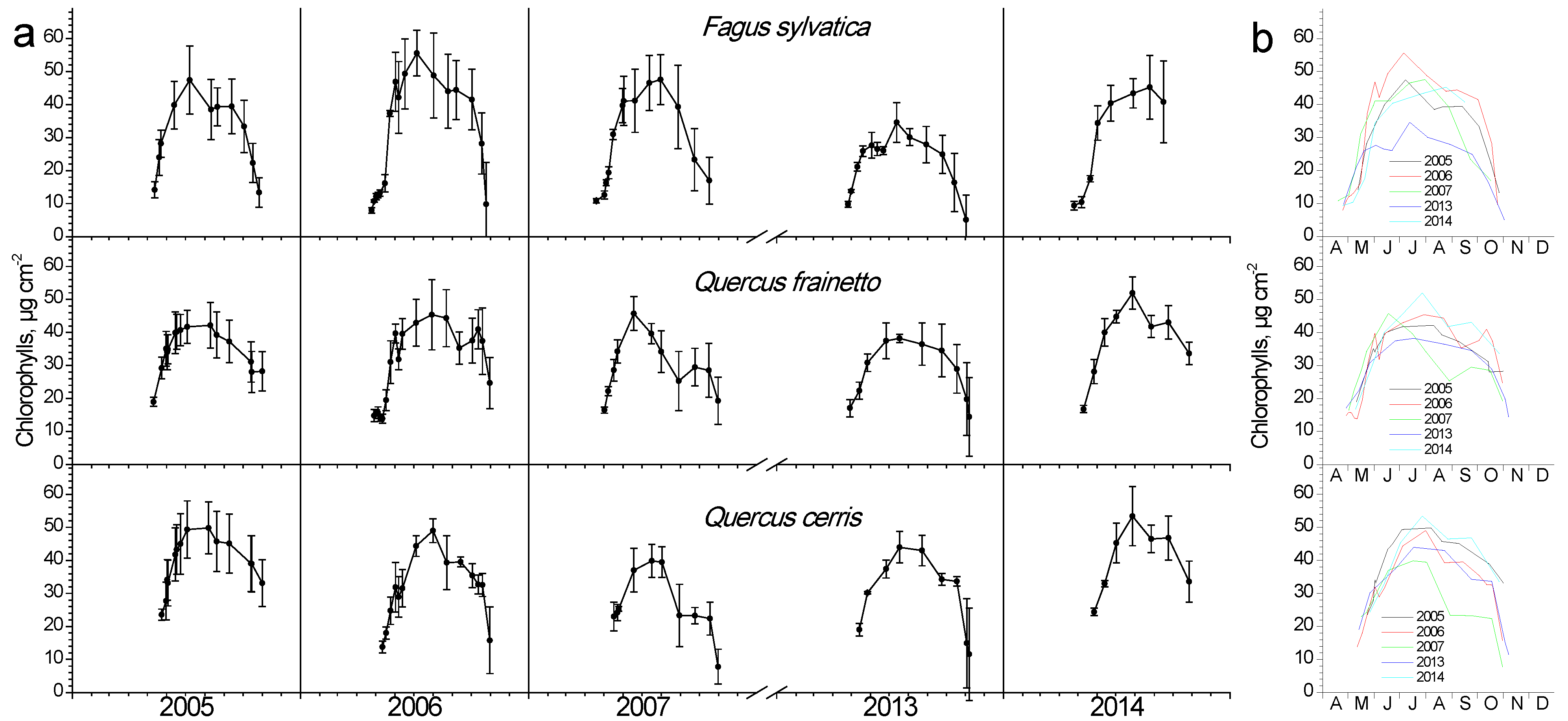 Plants 11 02257 g004
