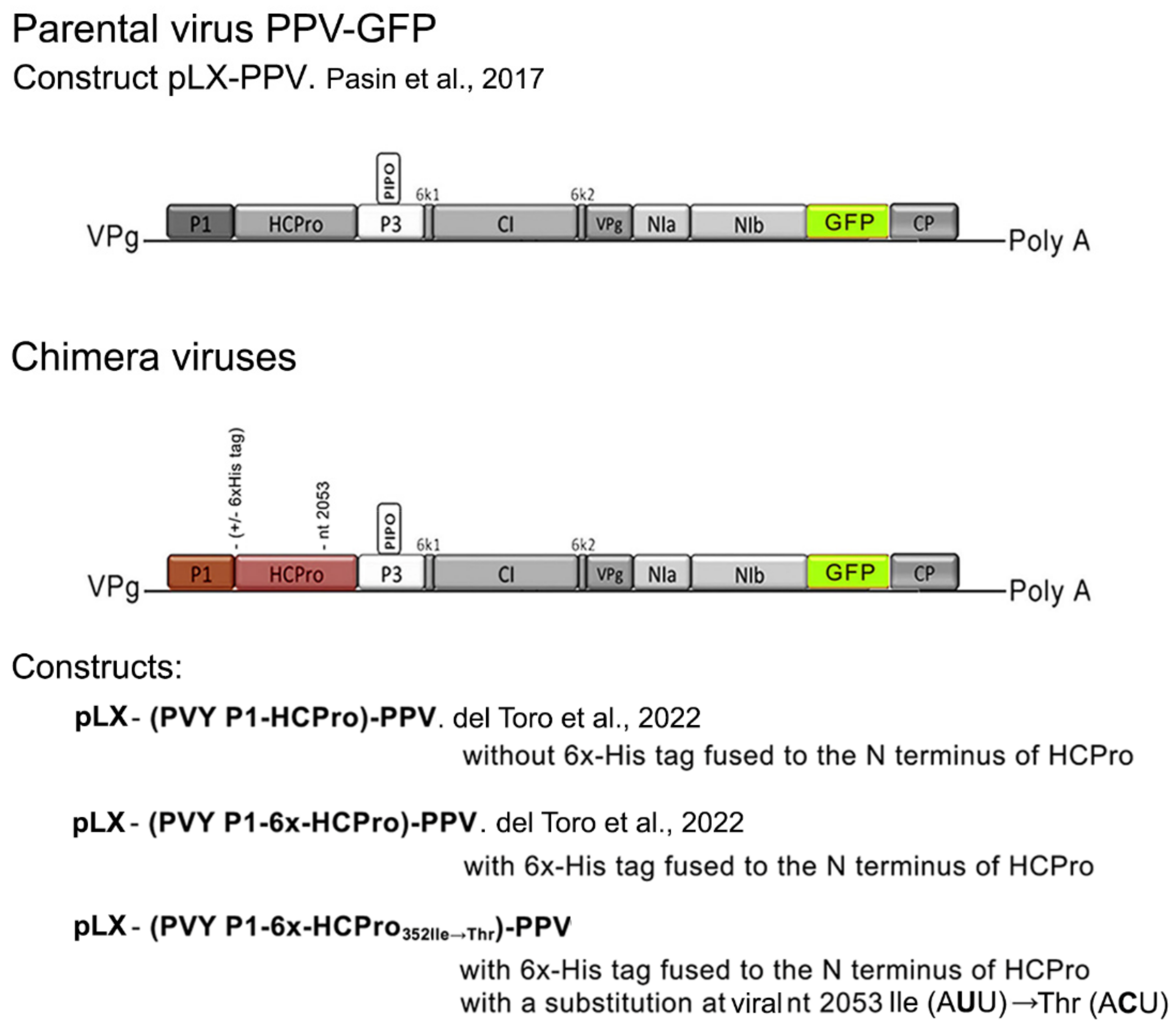 Plants 11 02262 g001