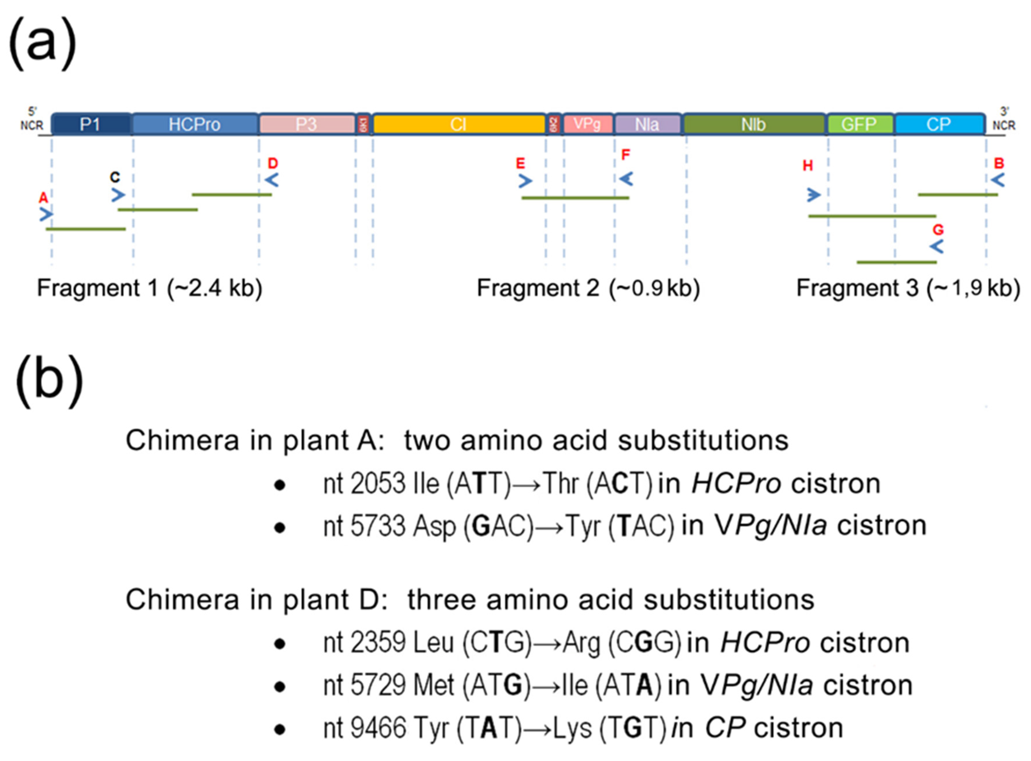 Plants 11 02262 g003