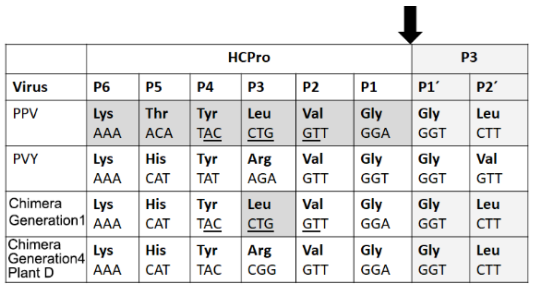 Plants 11 02262 g004