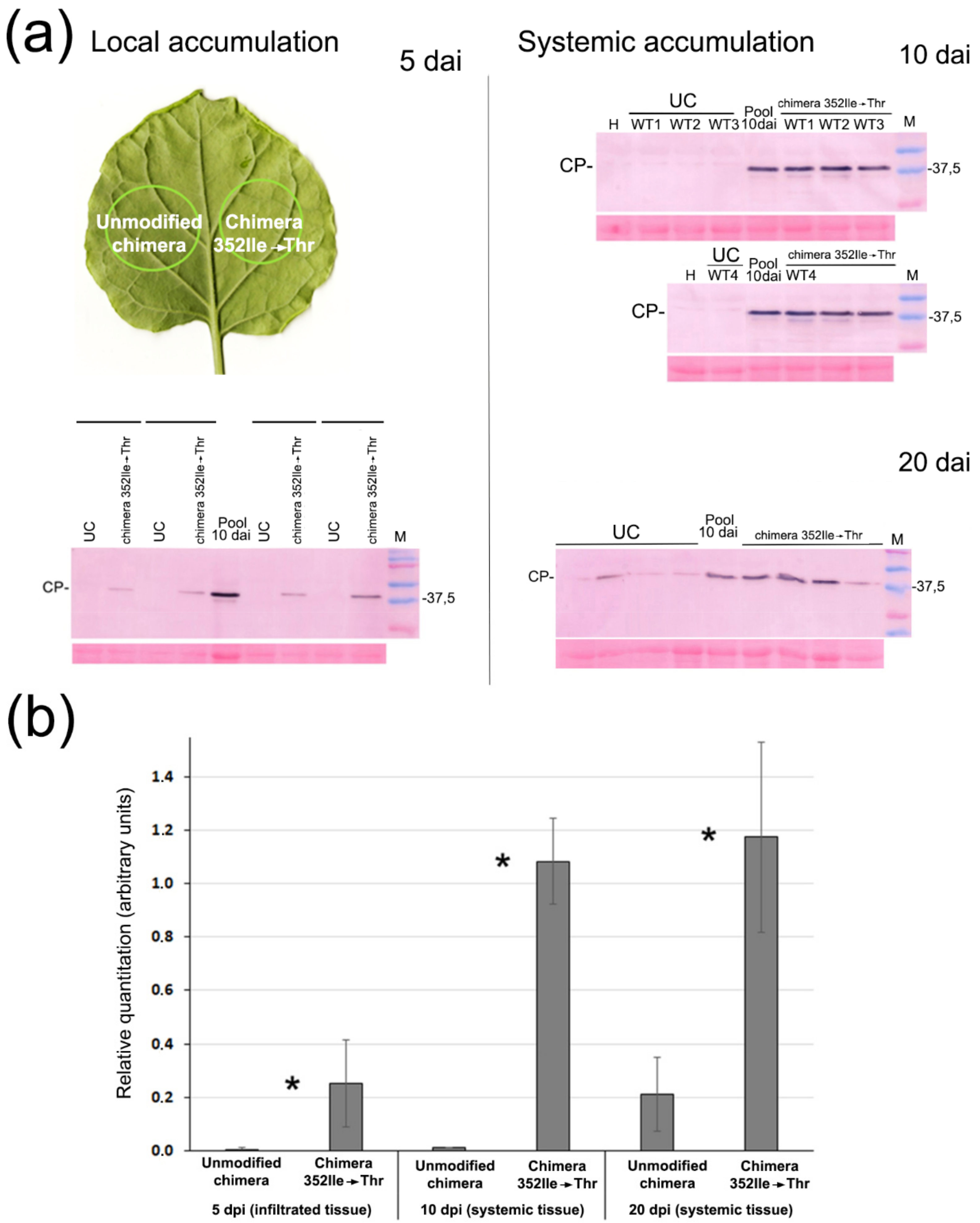 Plants 11 02262 g006