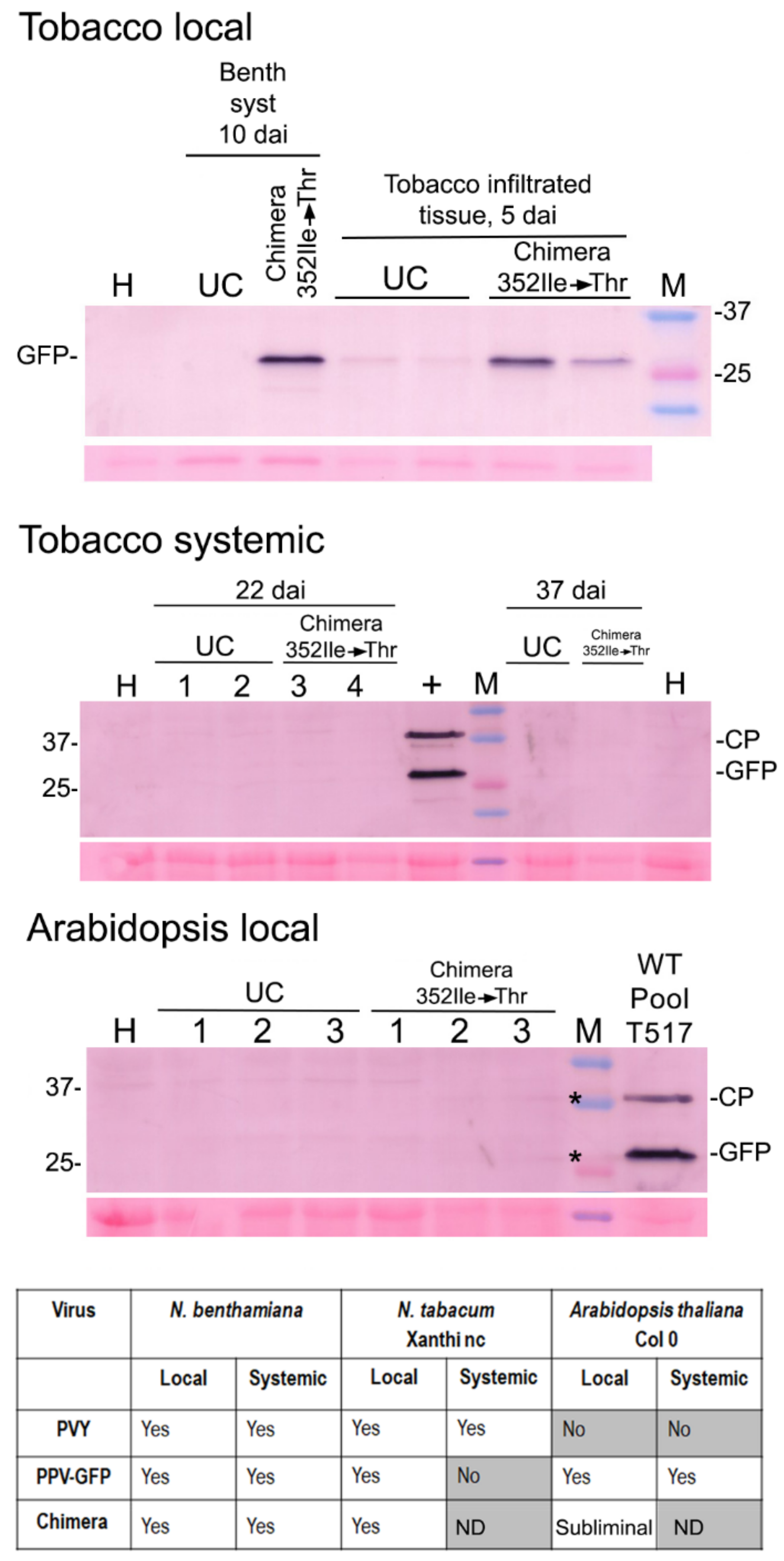 Plants 11 02262 g007