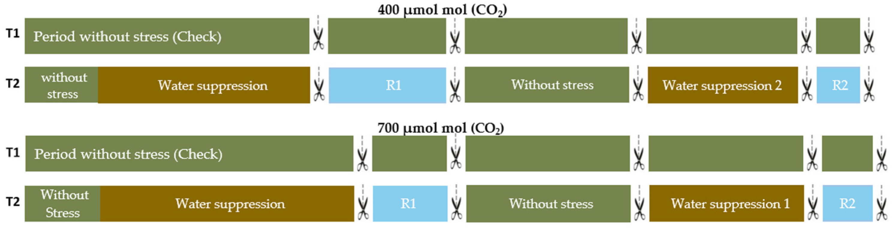 Plants 11 02270 g001