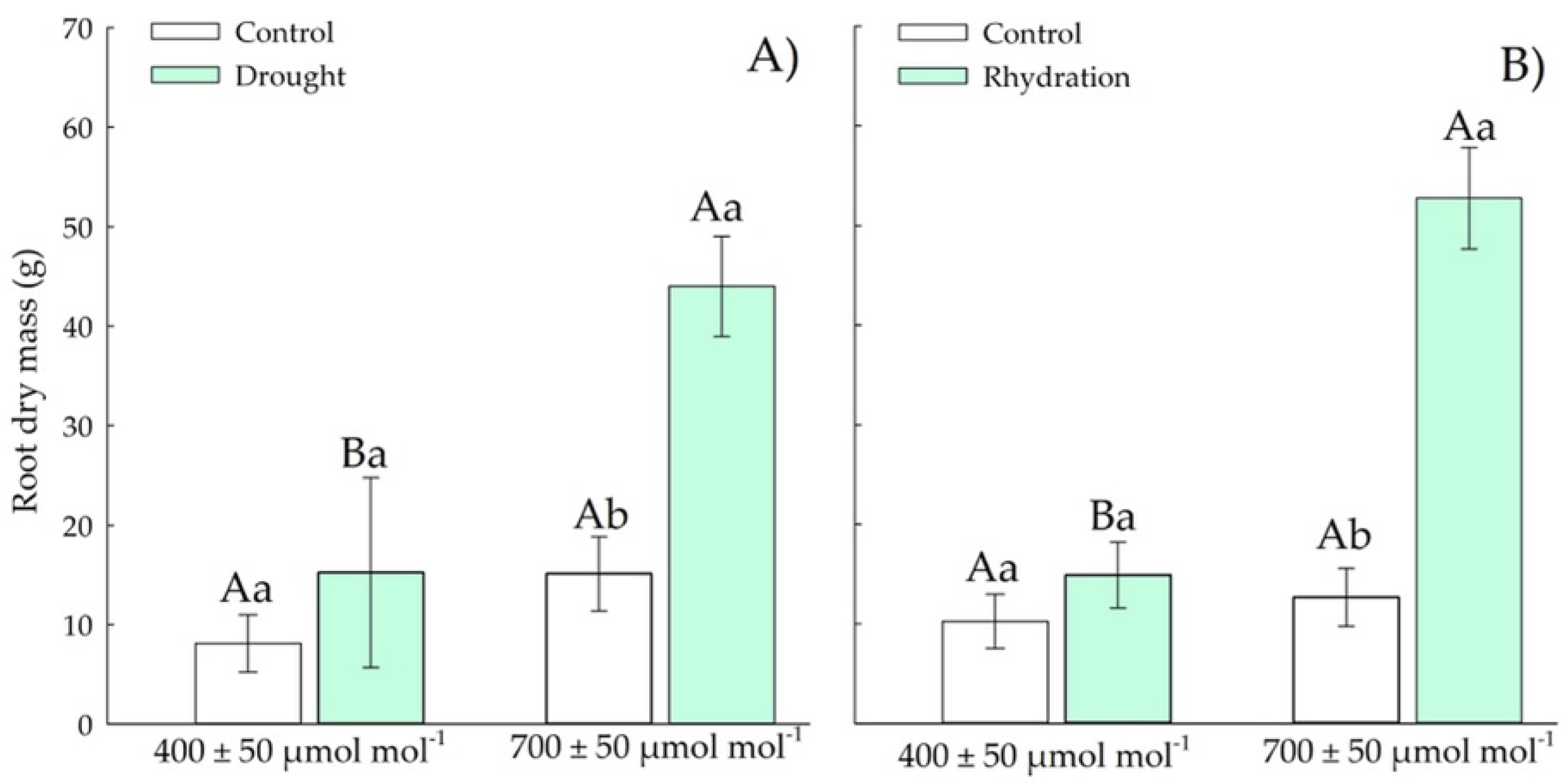 Plants 11 02270 g006