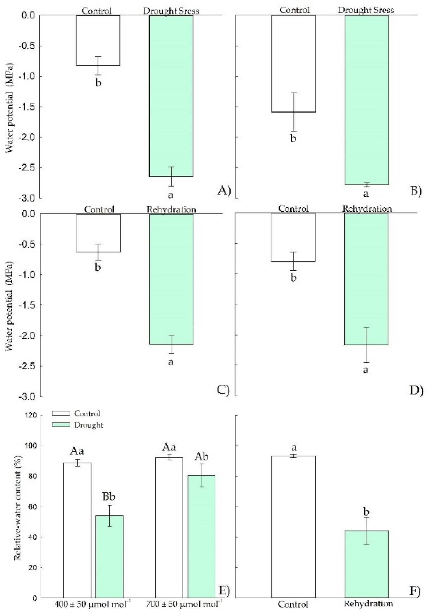 Plants 11 02270 g007