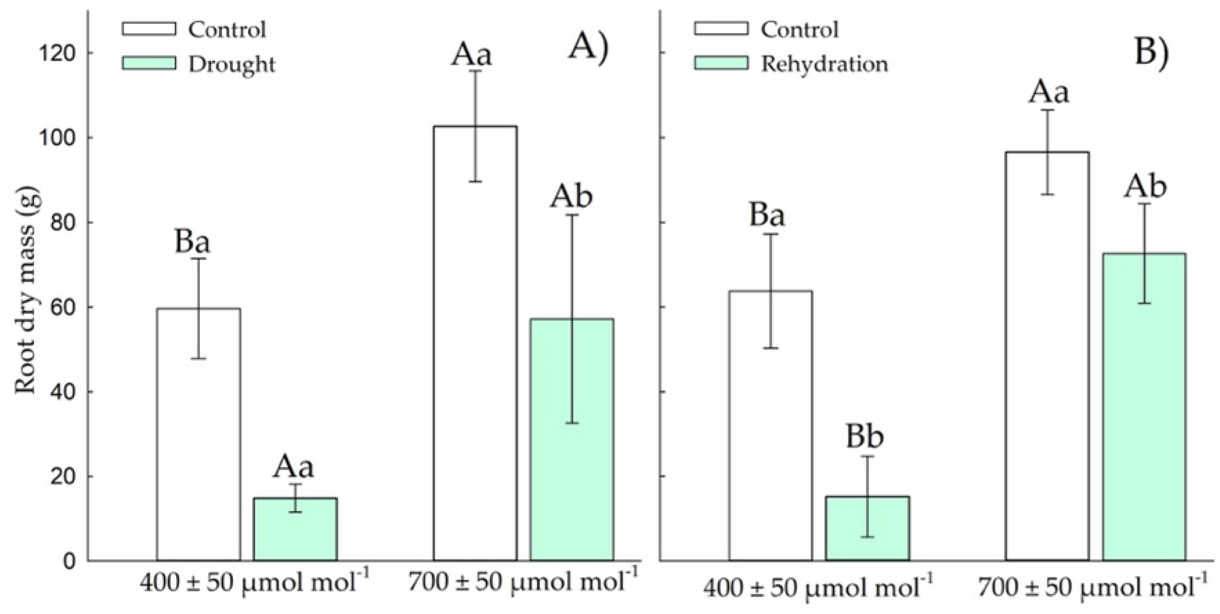 Plants 11 02270 g011