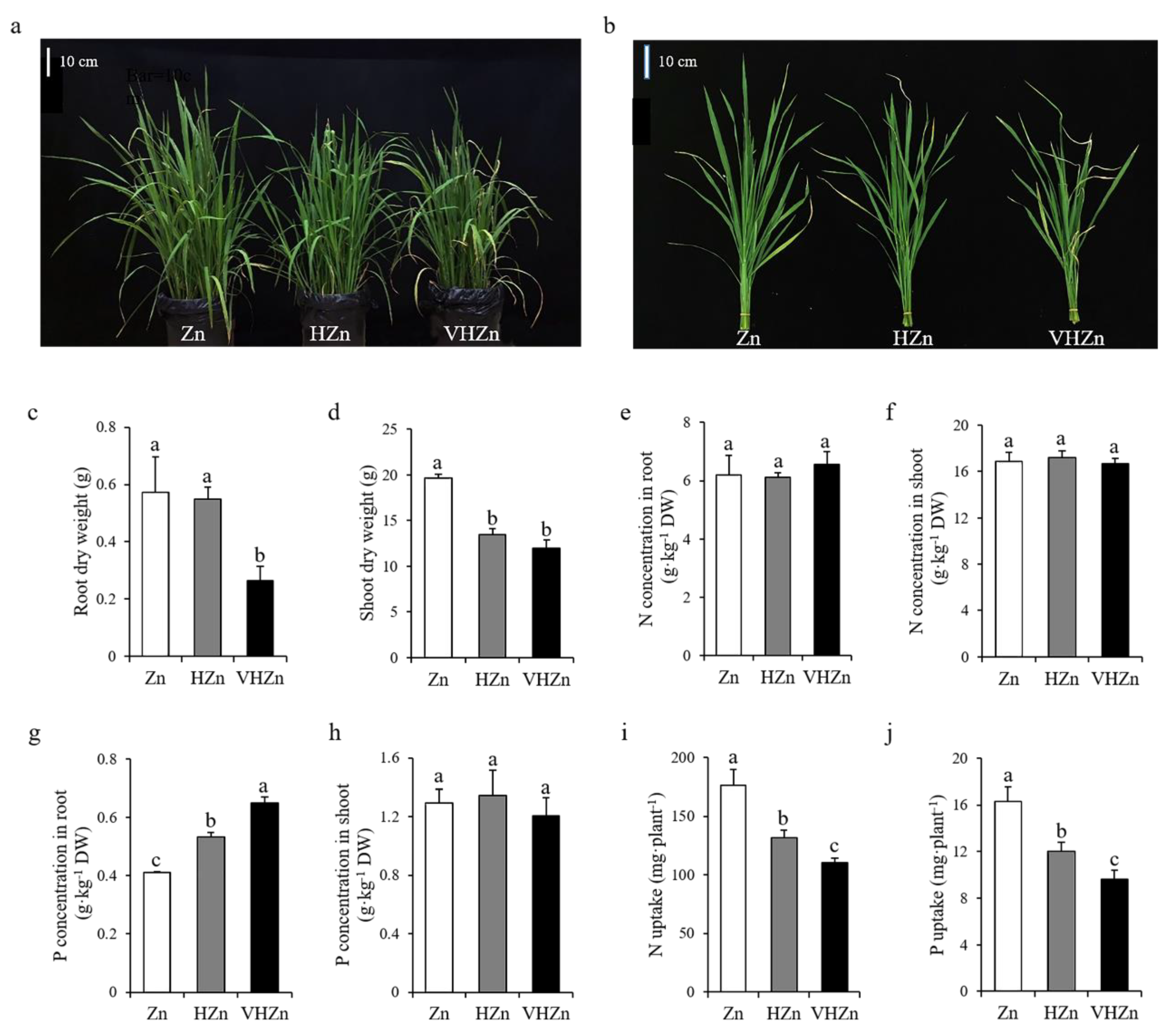 Plants 11 02271 g001