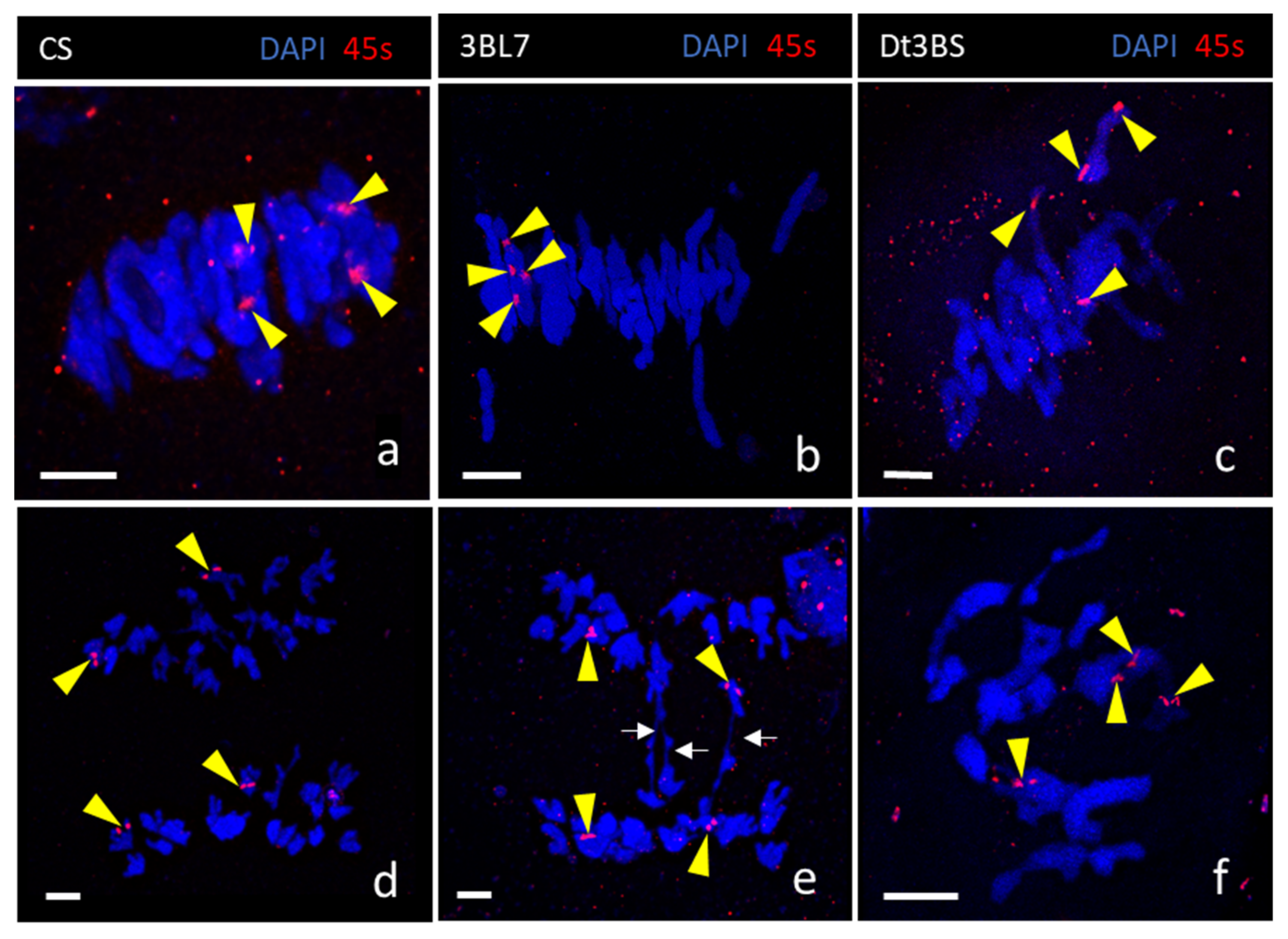 Plants 11 02281 g004