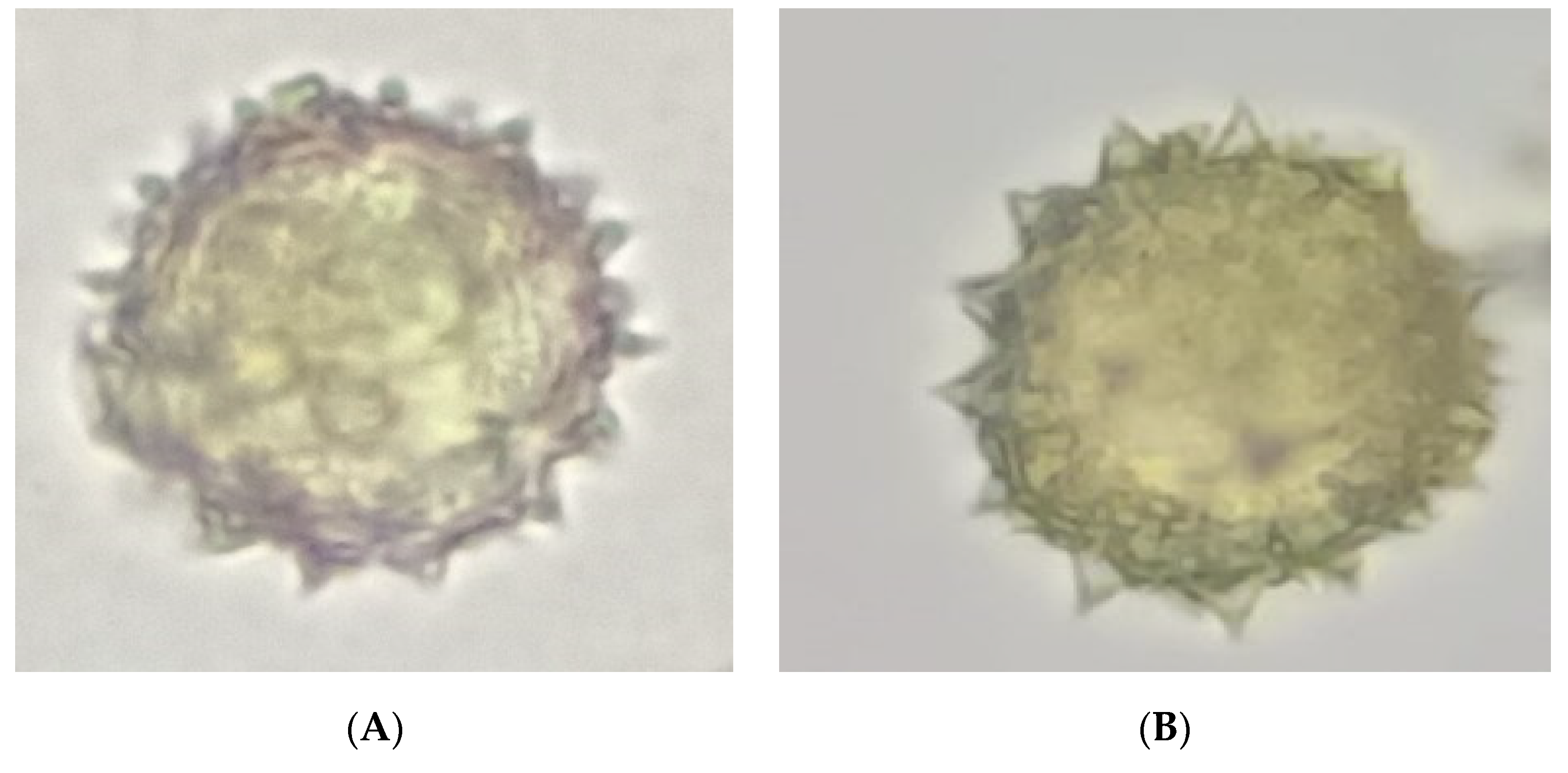 Plants 11 02299 g002 Plants 11 02299 g002