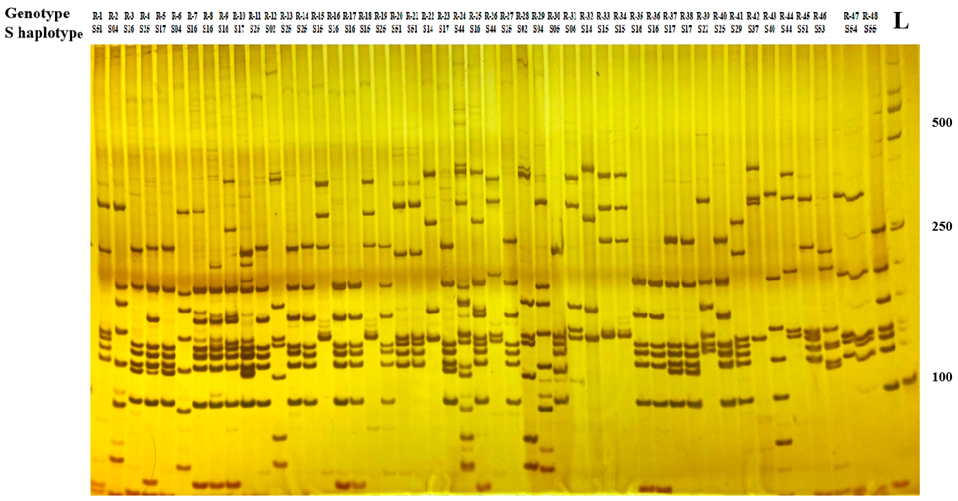 Plants 11 02304 g002