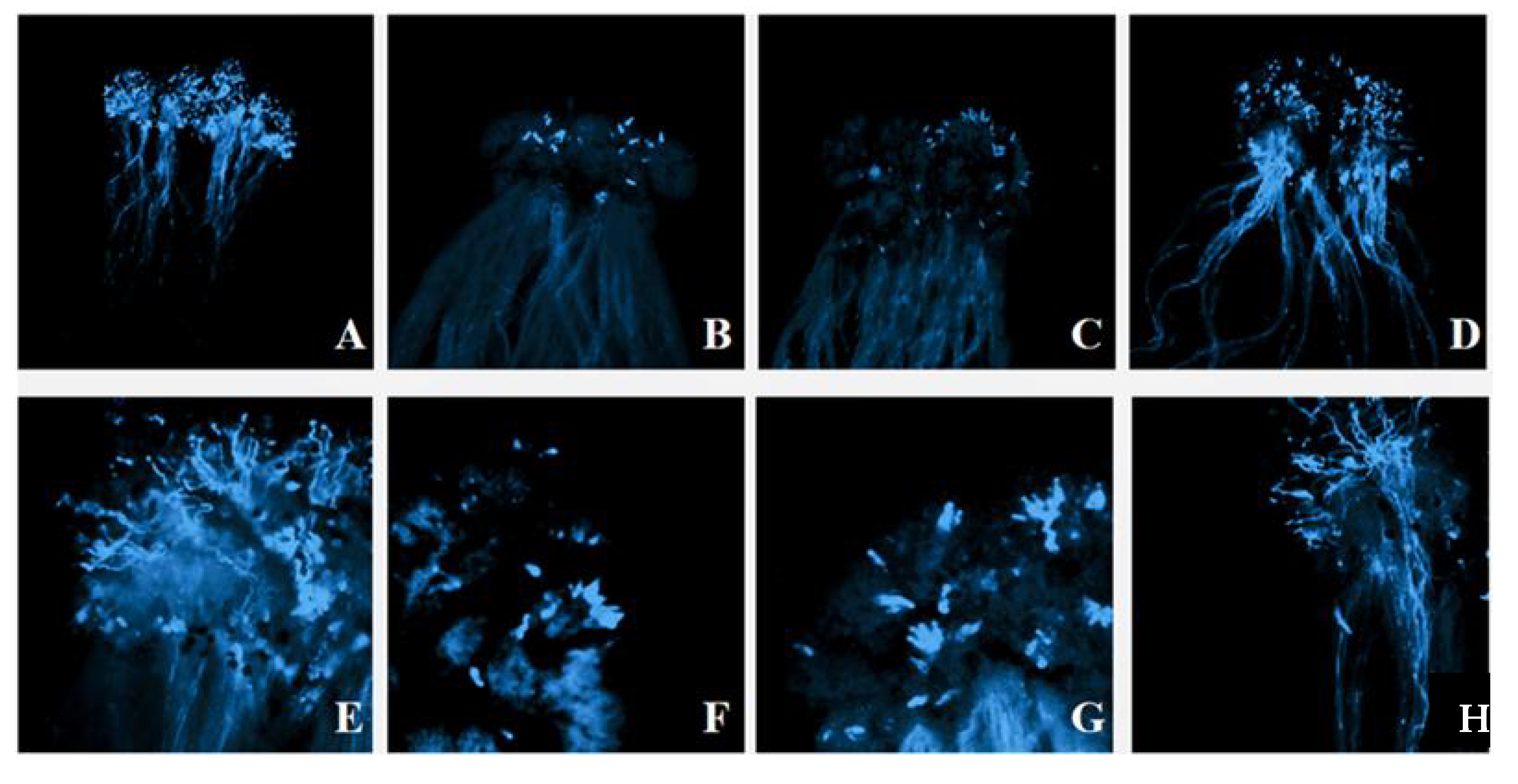 Plants 11 02304 g003