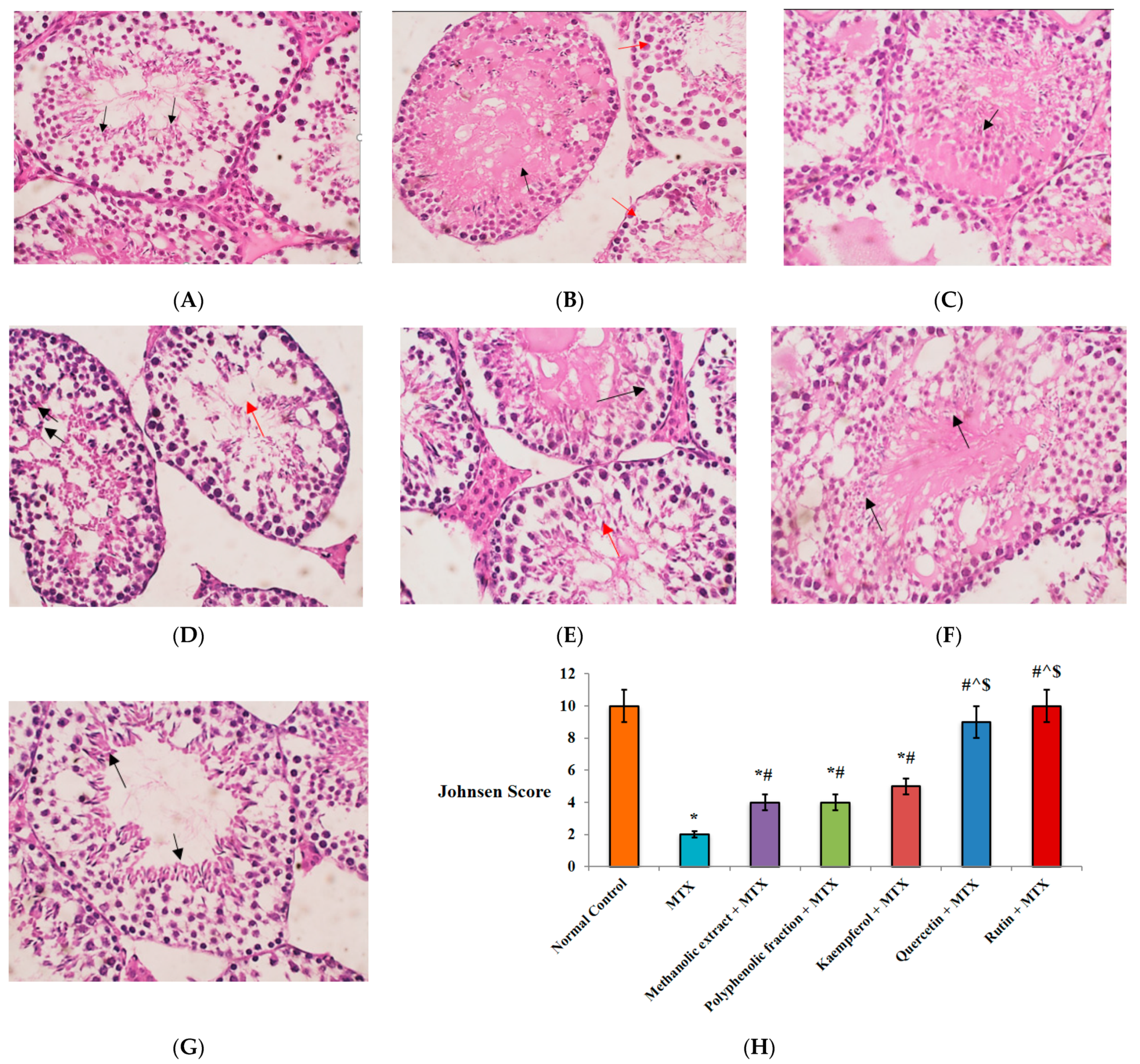 Plants 11 02309 g004 Plants 11 02309 g004