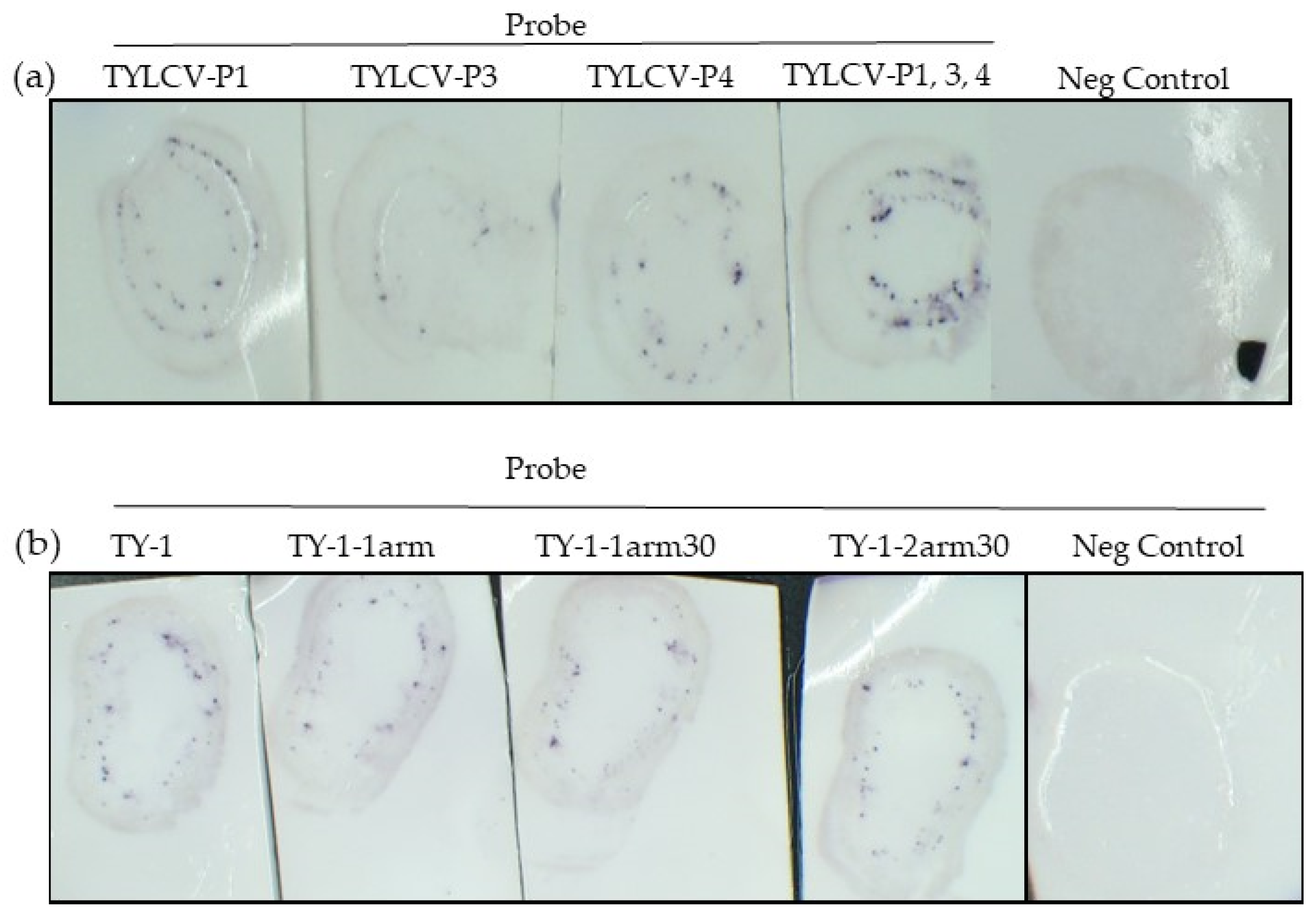 Plants 11 02325 g003