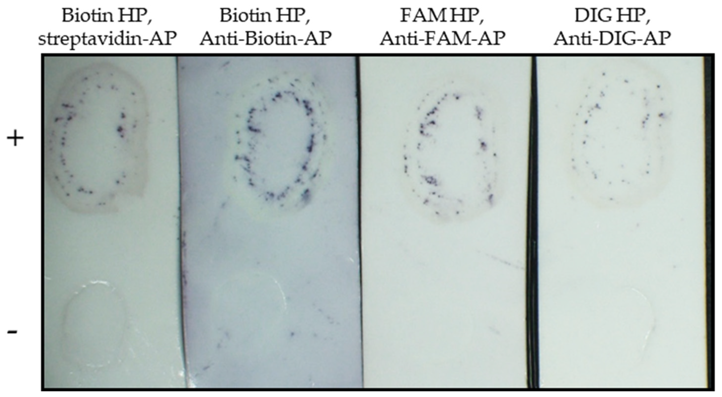 Plants 11 02325 g005