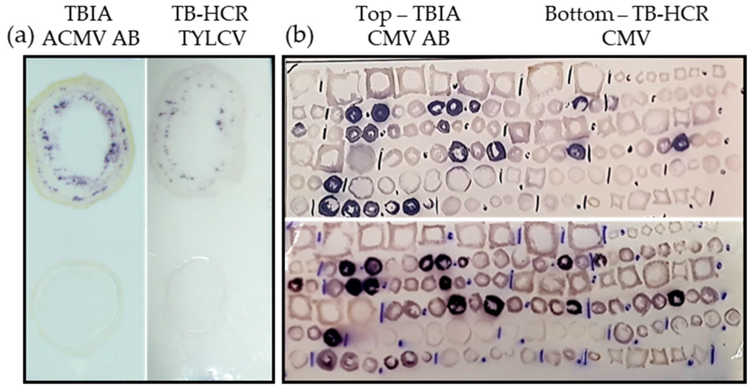 Plants 11 02325 g007
