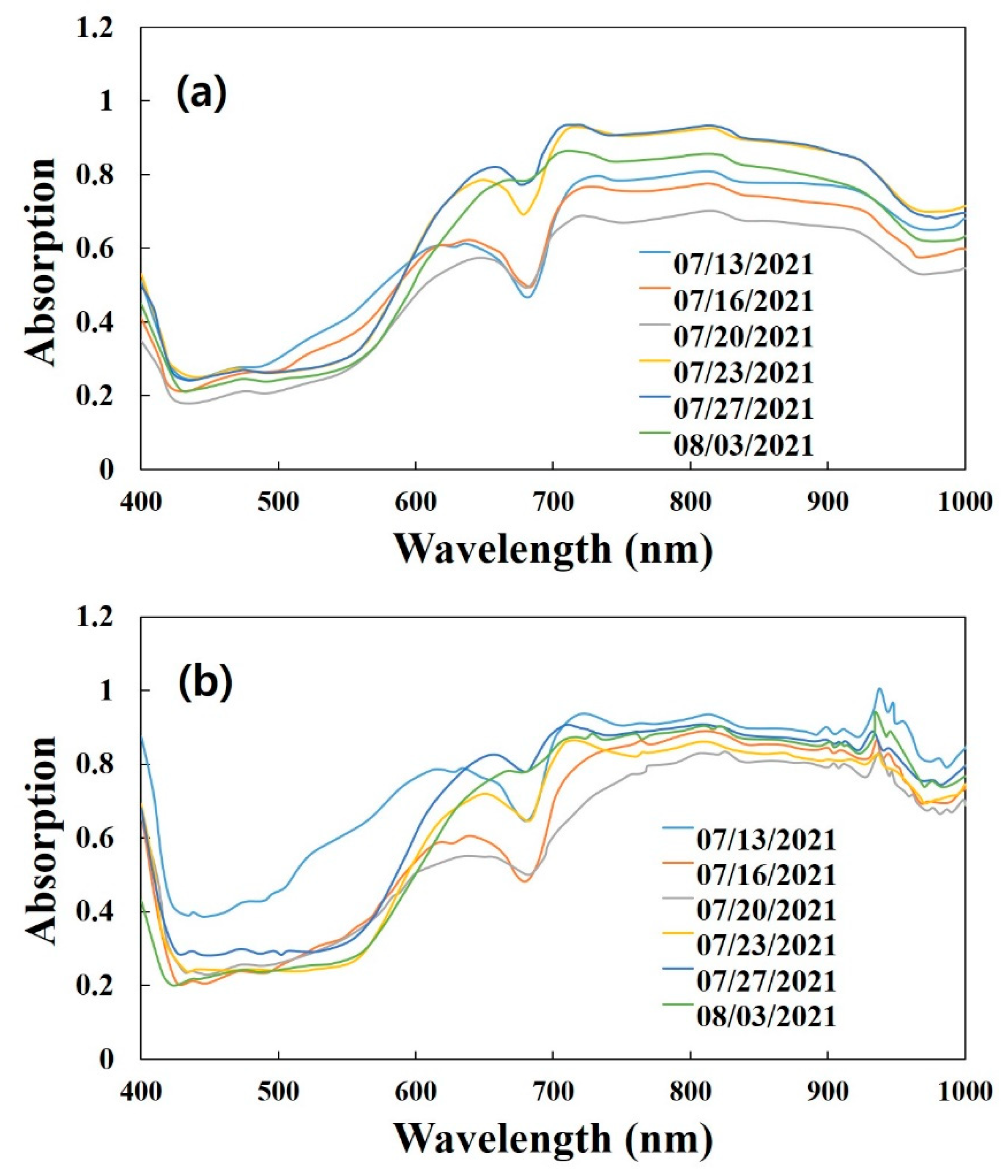 Plants 11 02327 g001