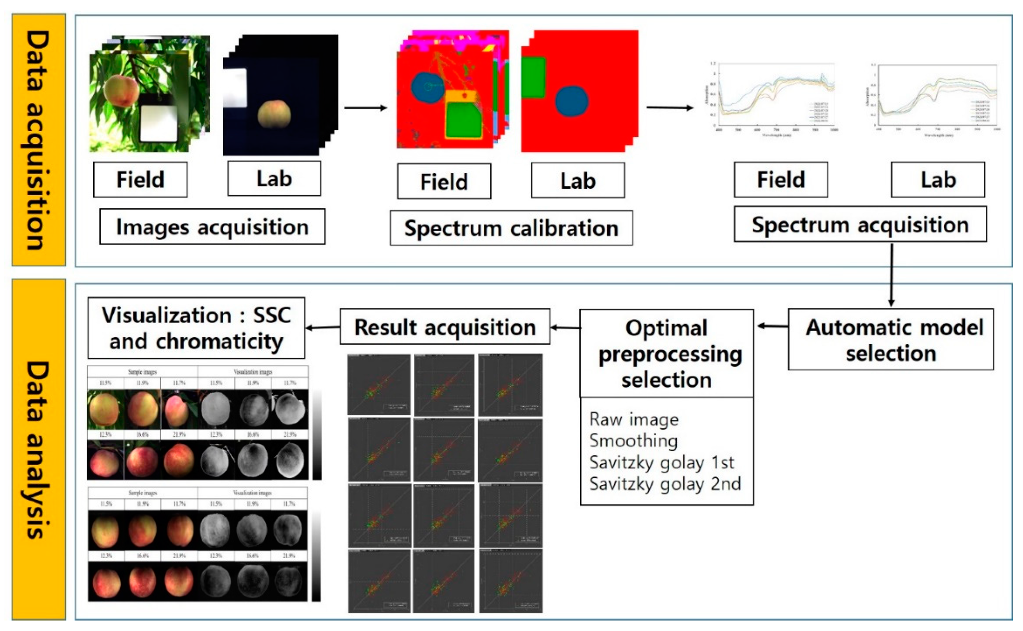 Plants 11 02327 g004