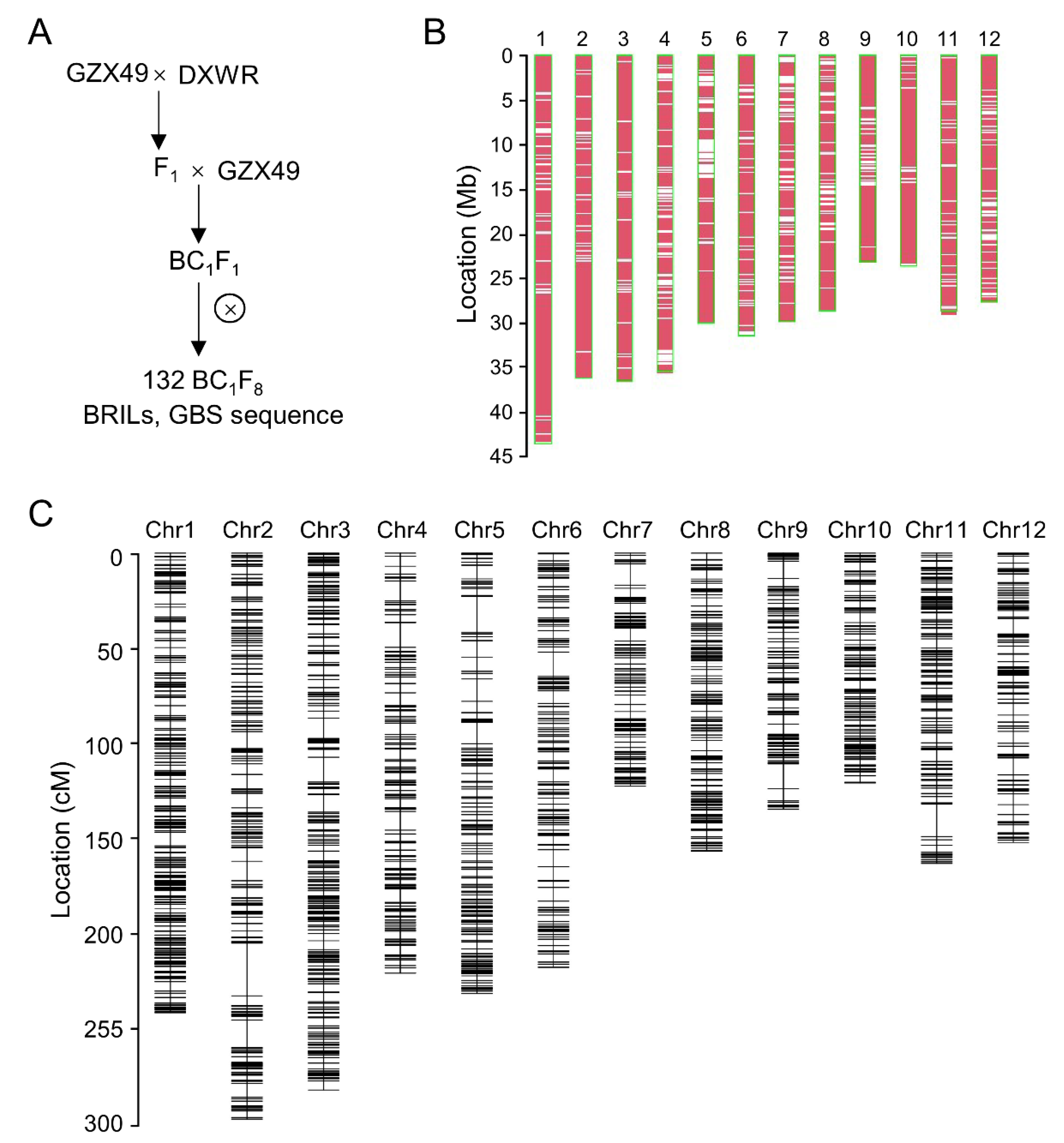 Plants 11 02329 g001
