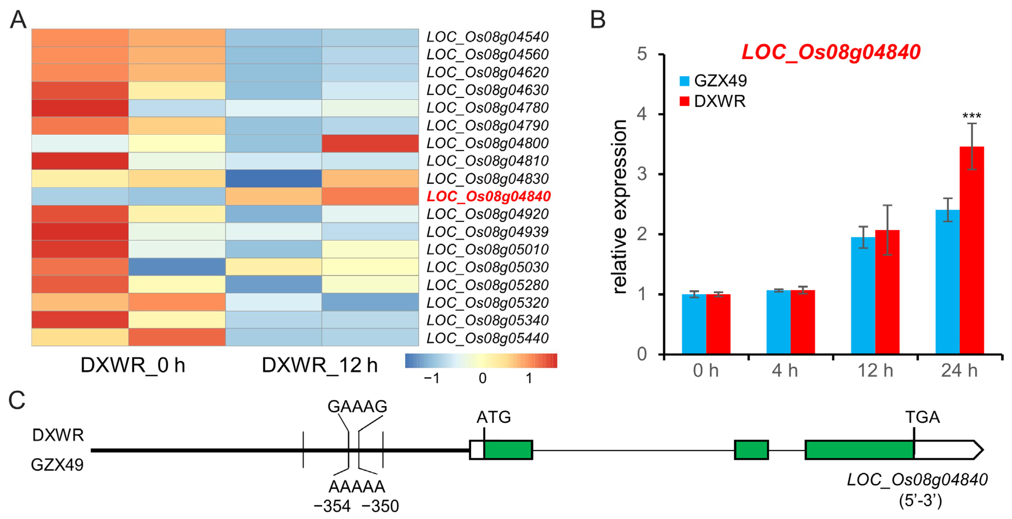 Plants 11 02329 g005