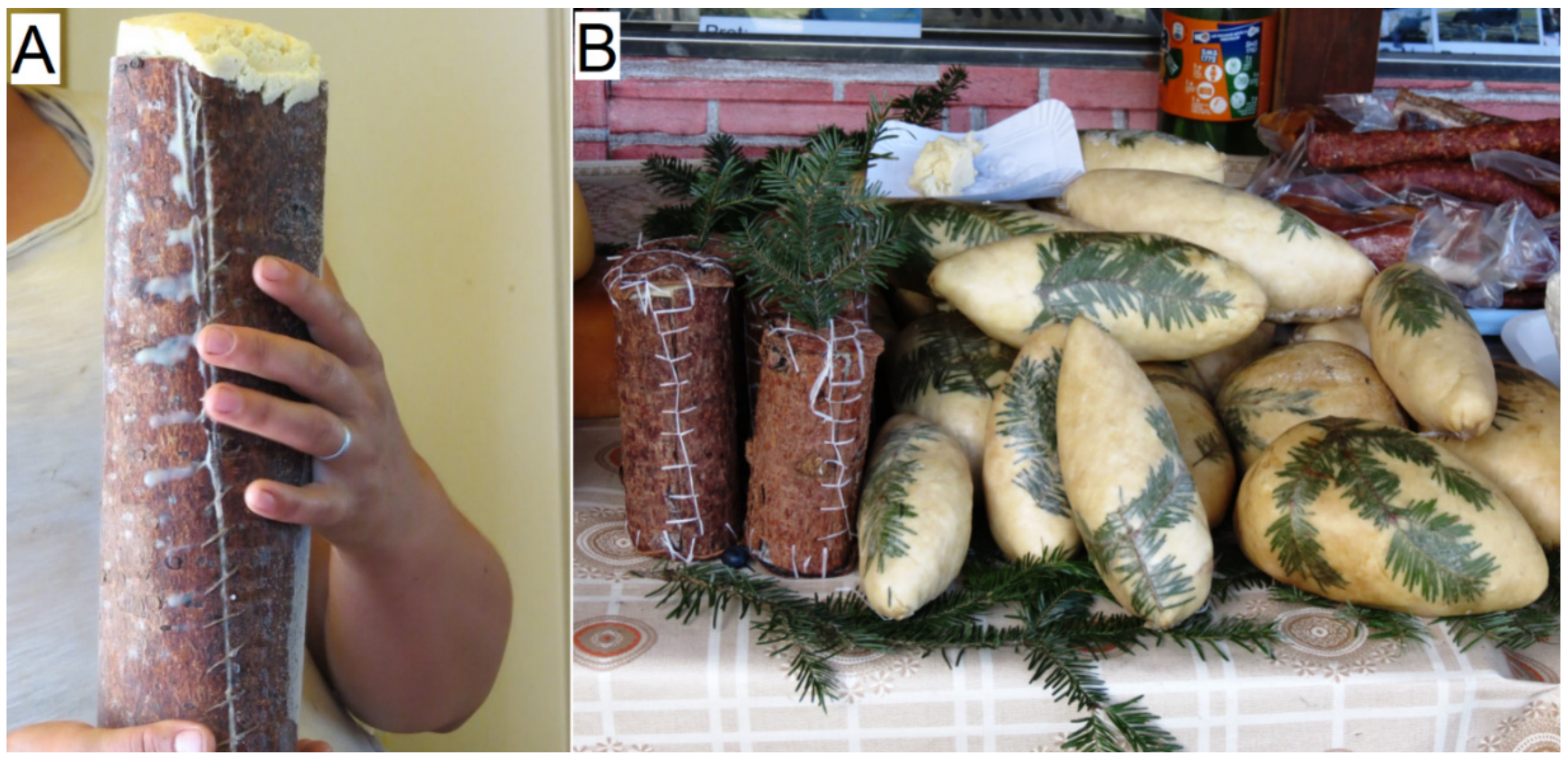 Plants 11 02331 g003