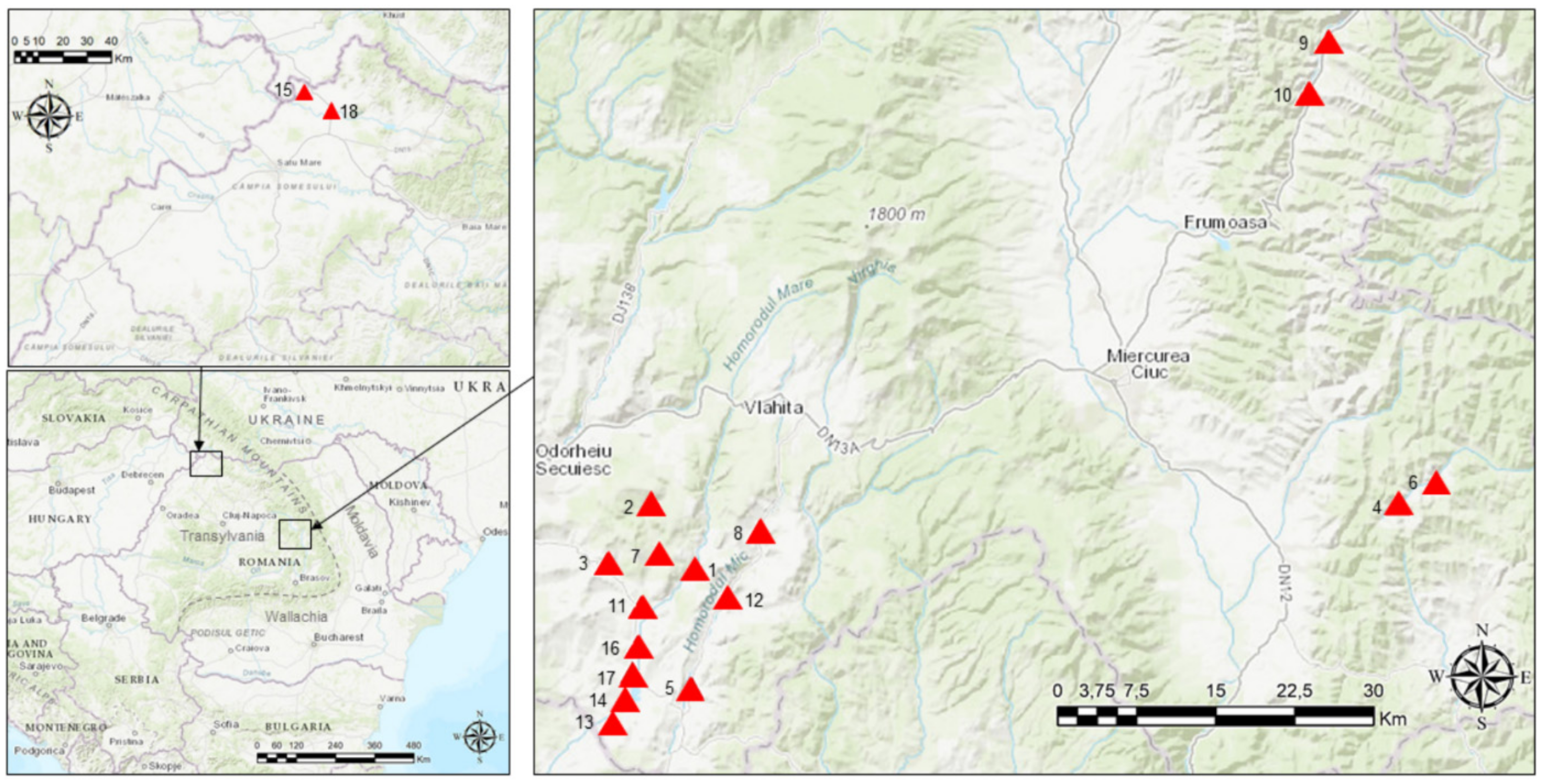 Plants 11 02331 g004
