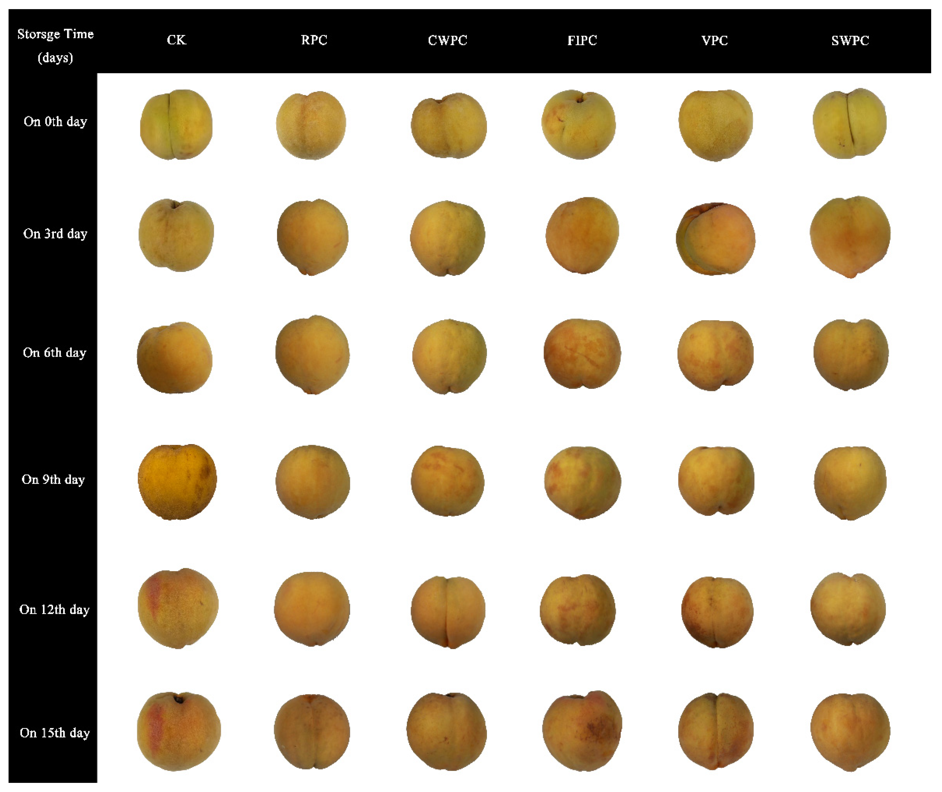 Plants 11 02334 g002