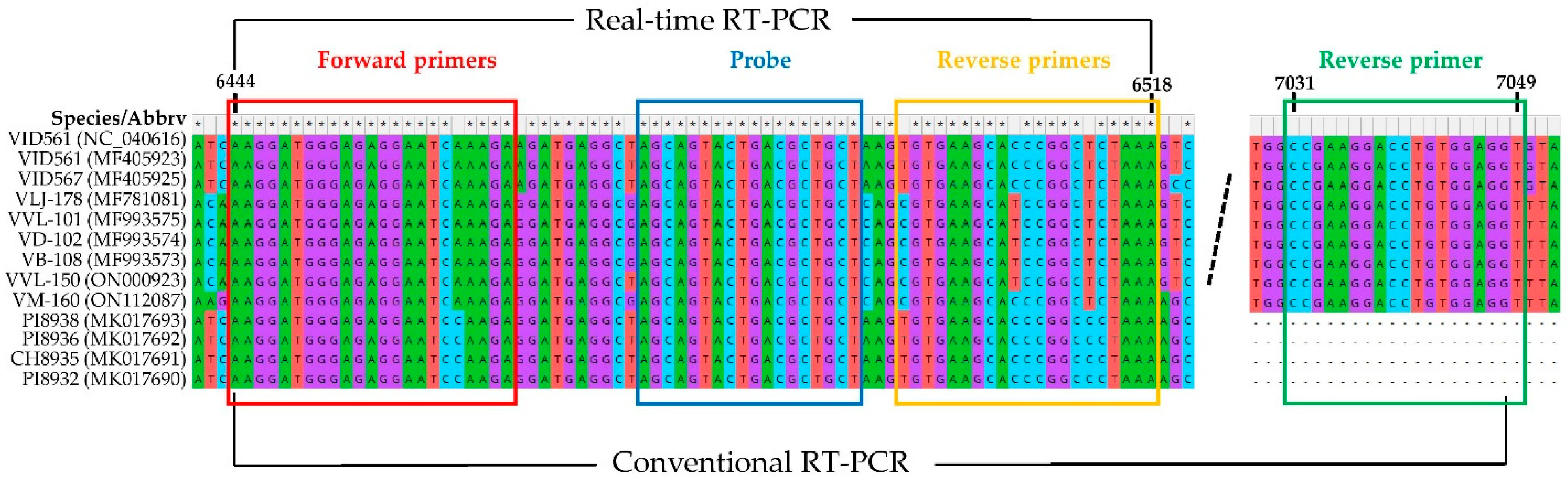 Plants 11 02341 g001