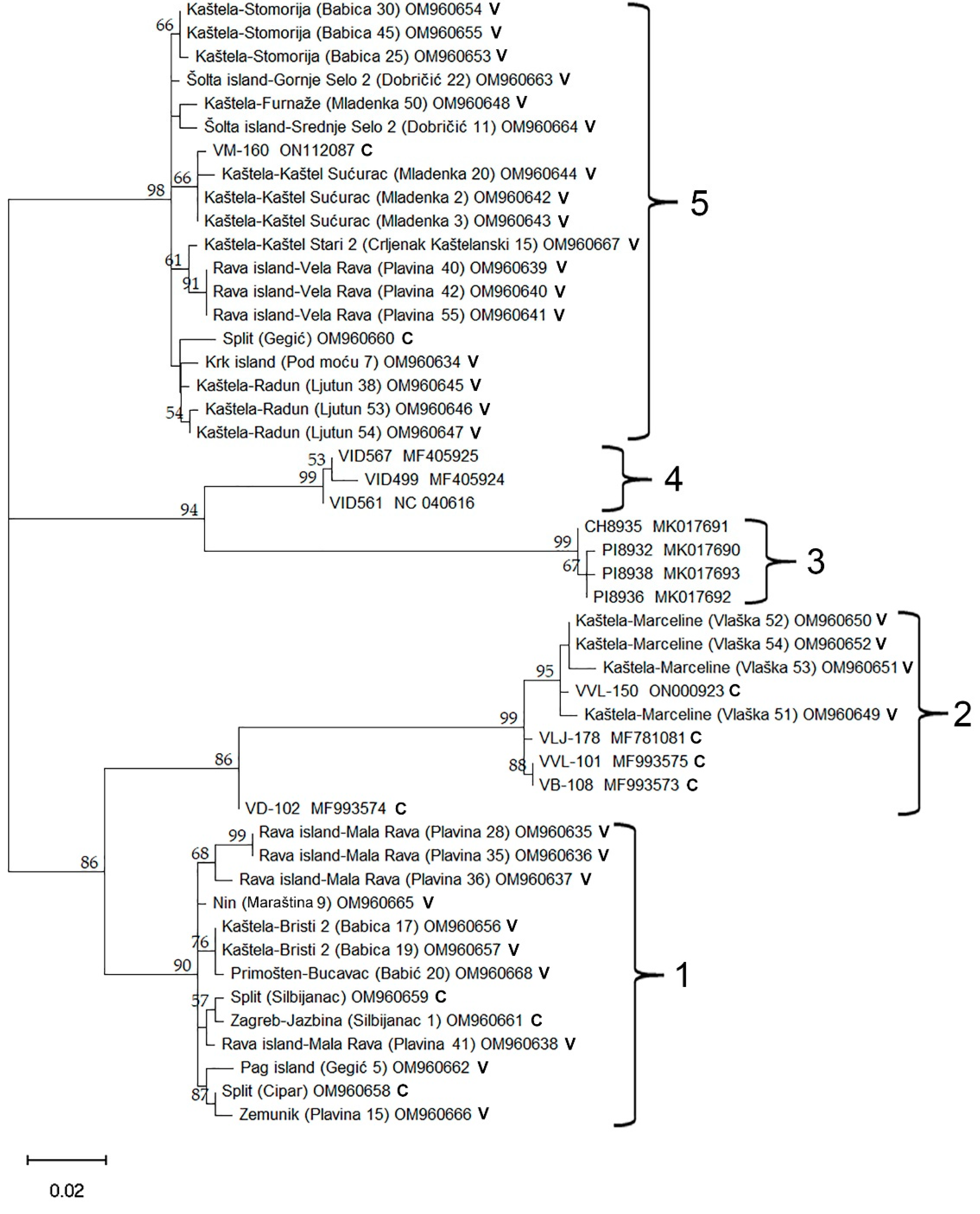 Plants 11 02341 g005