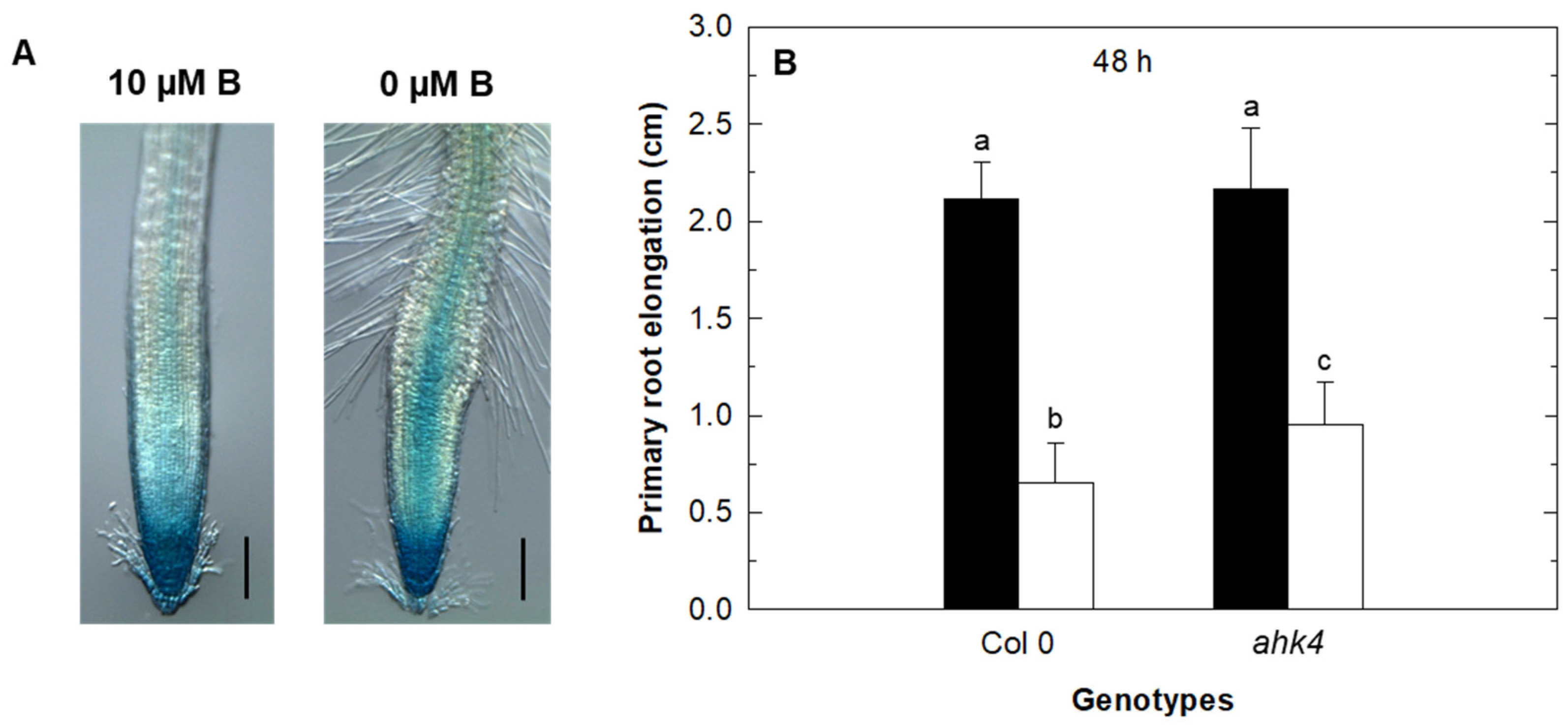 Plants 11 02344 g001