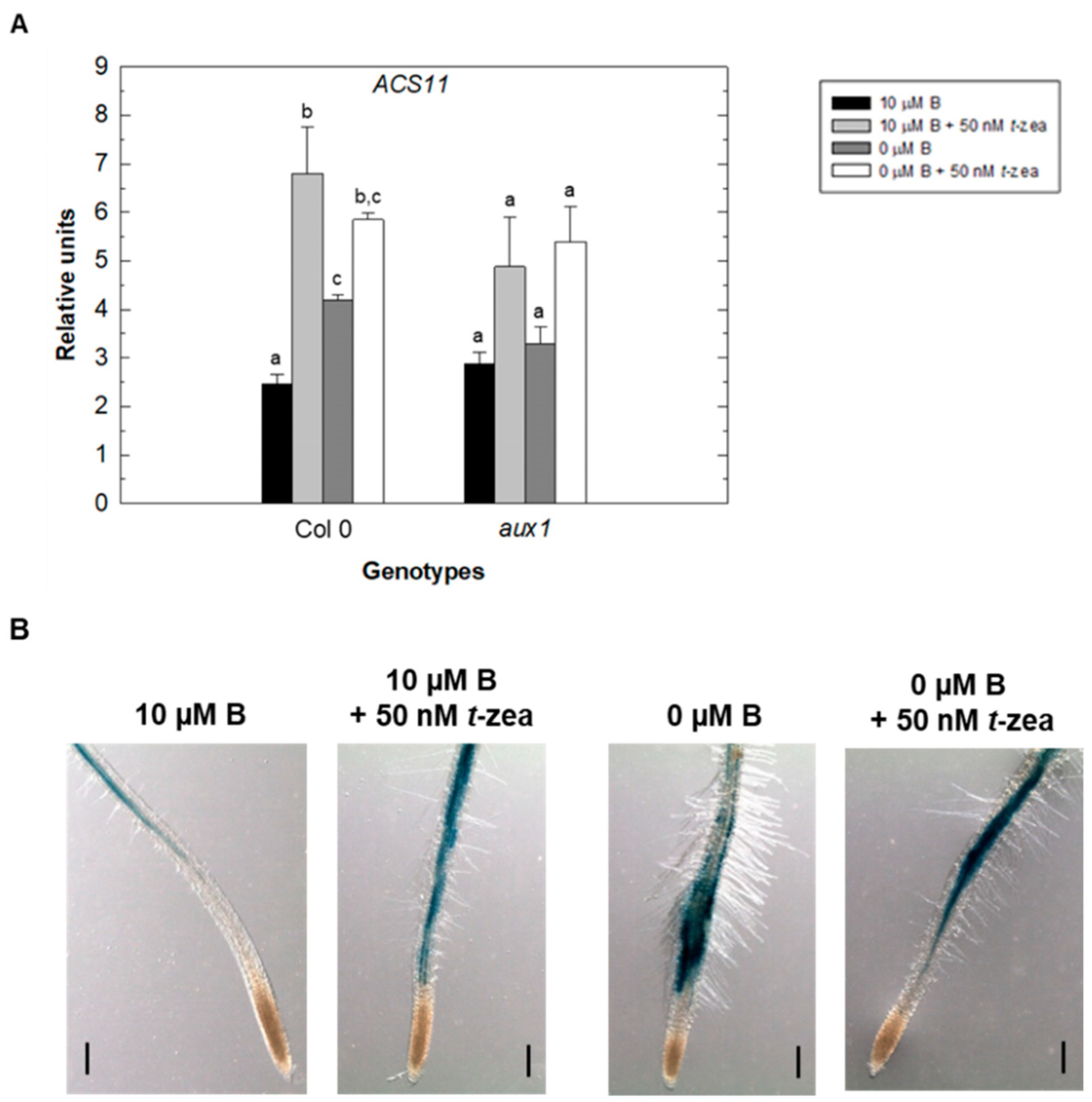 Plants 11 02344 g006