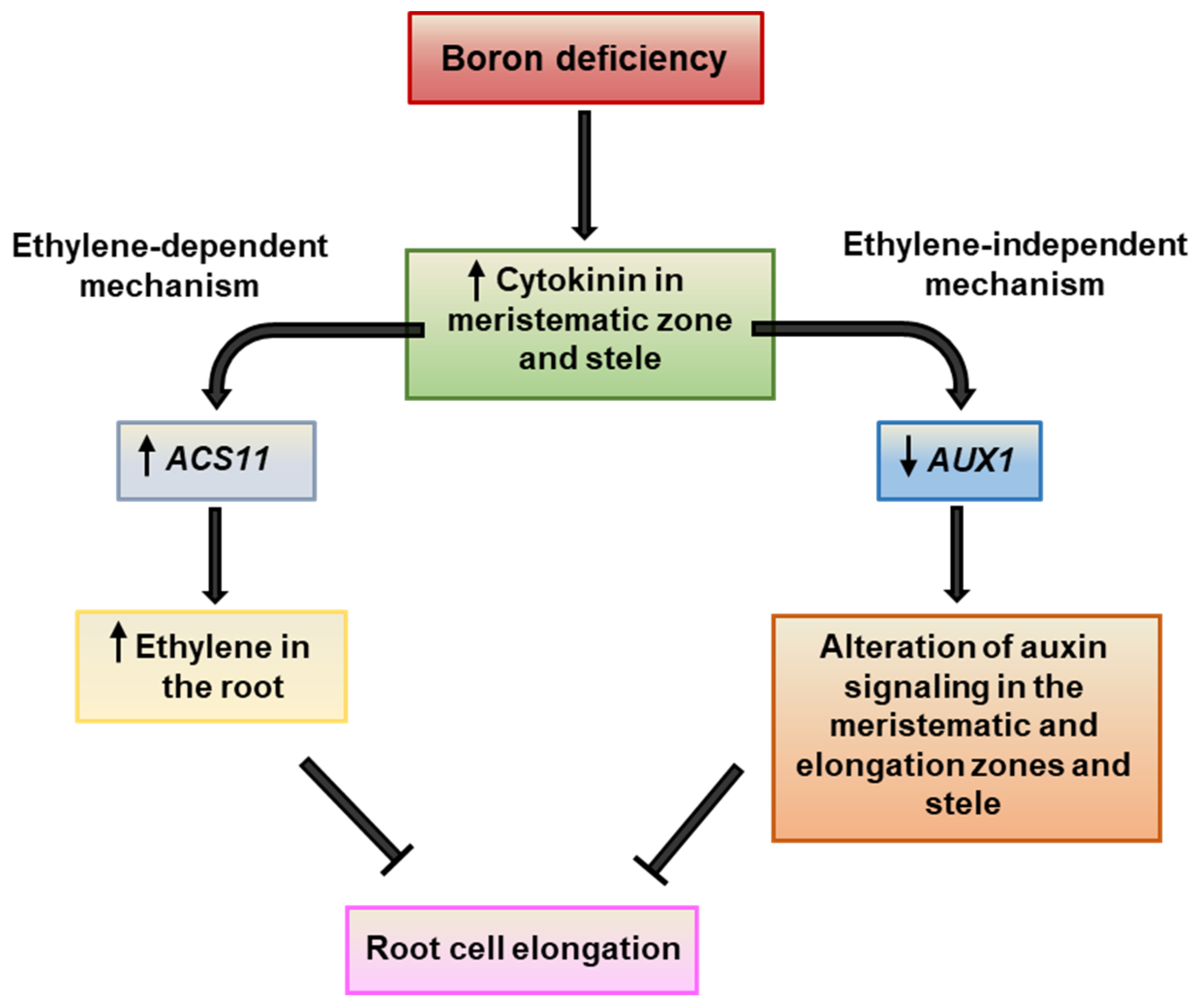 Plants 11 02344 g009