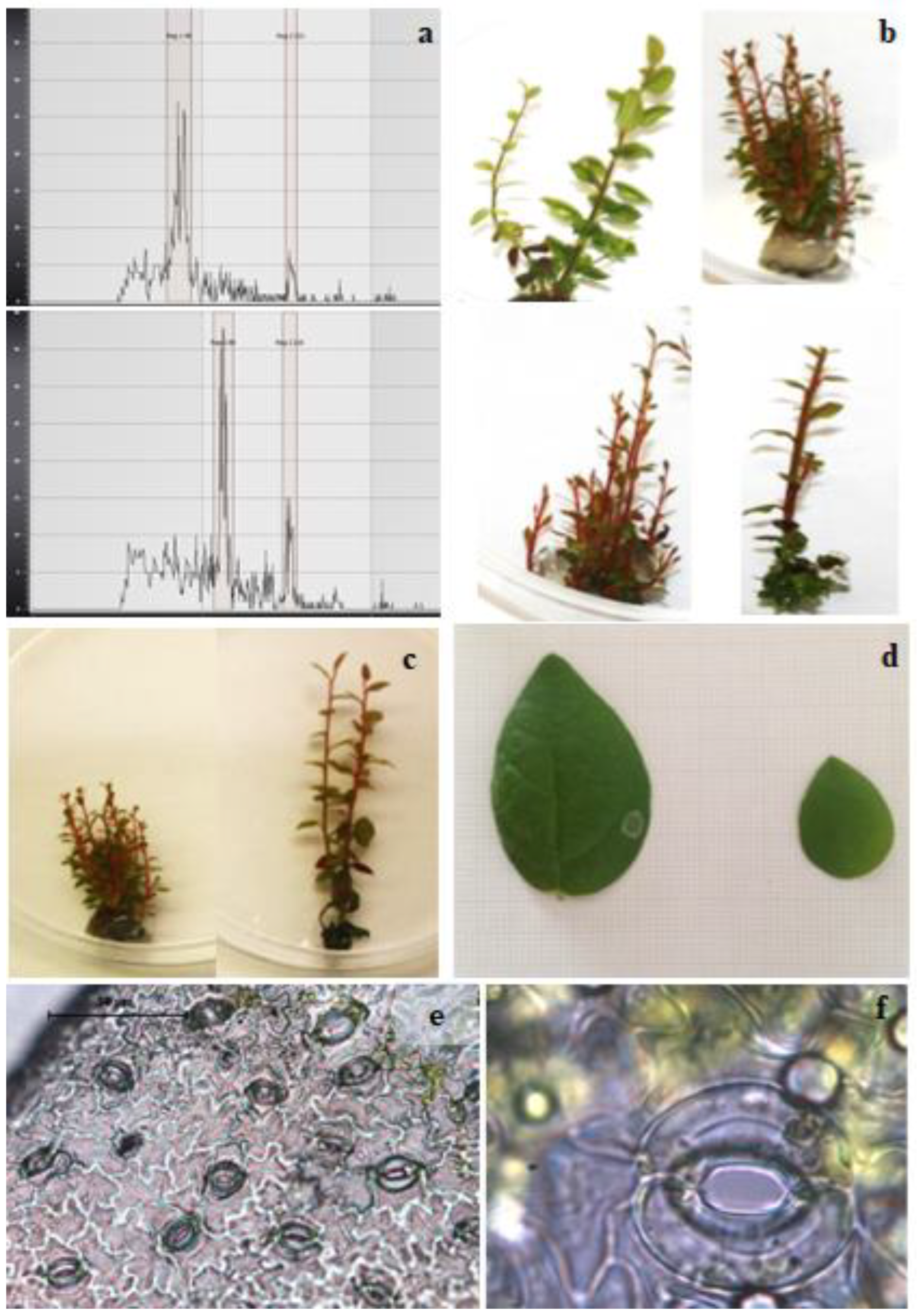 Plants 11 02349 g002